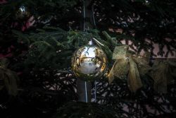 Modena Albero di Natale, Palla 