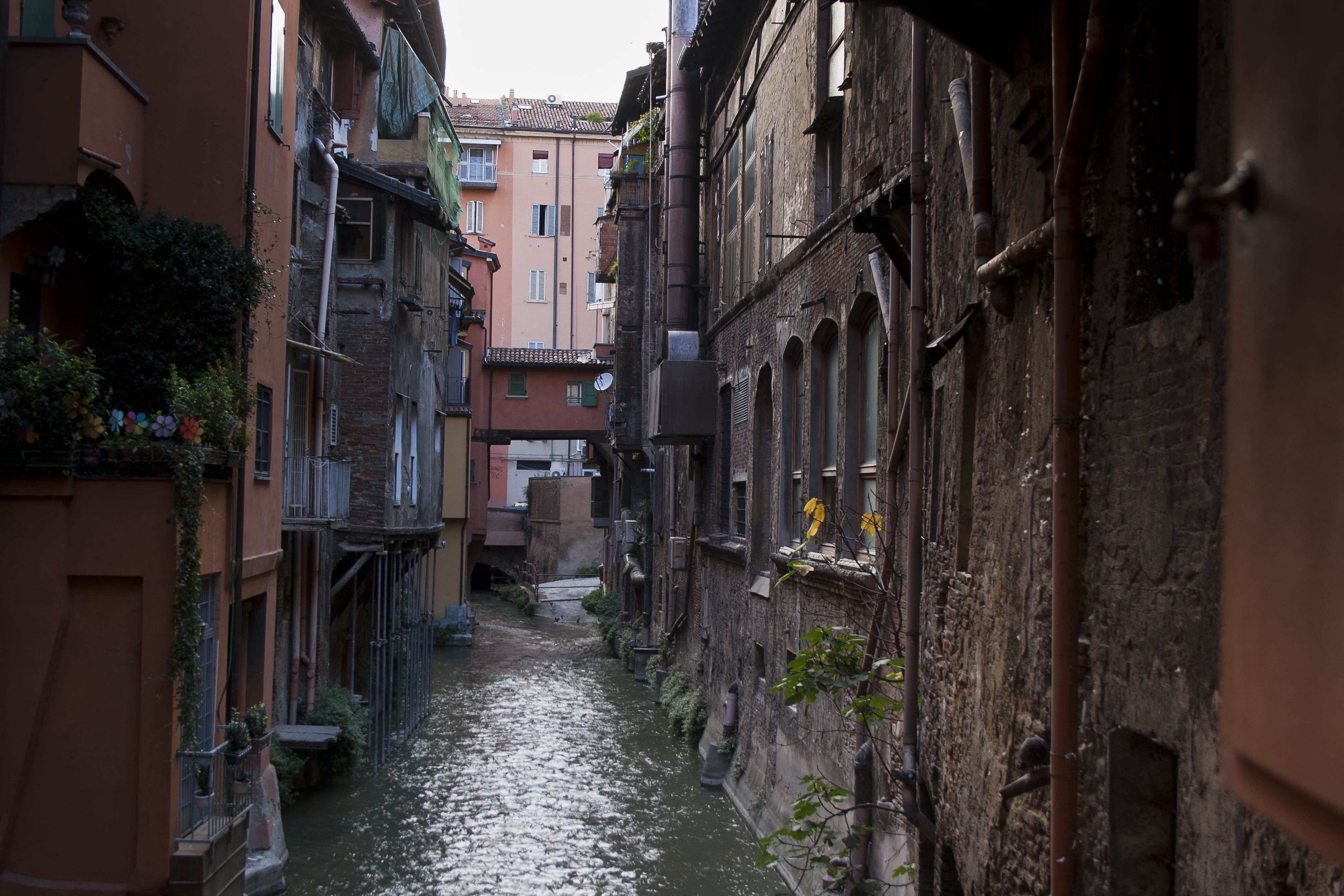 Bologna Fiume Particolare 