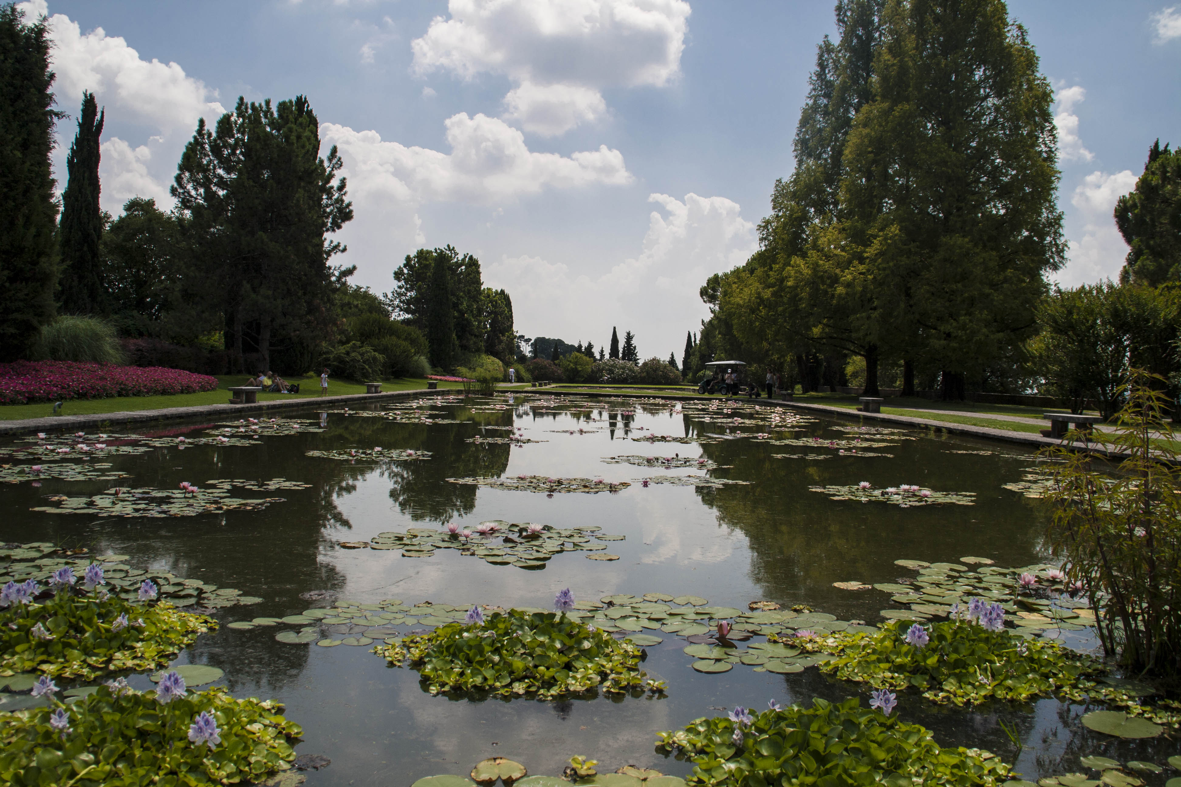 Valeggio sul Mincio (Vr) Fiori Natura Parco Sigurà