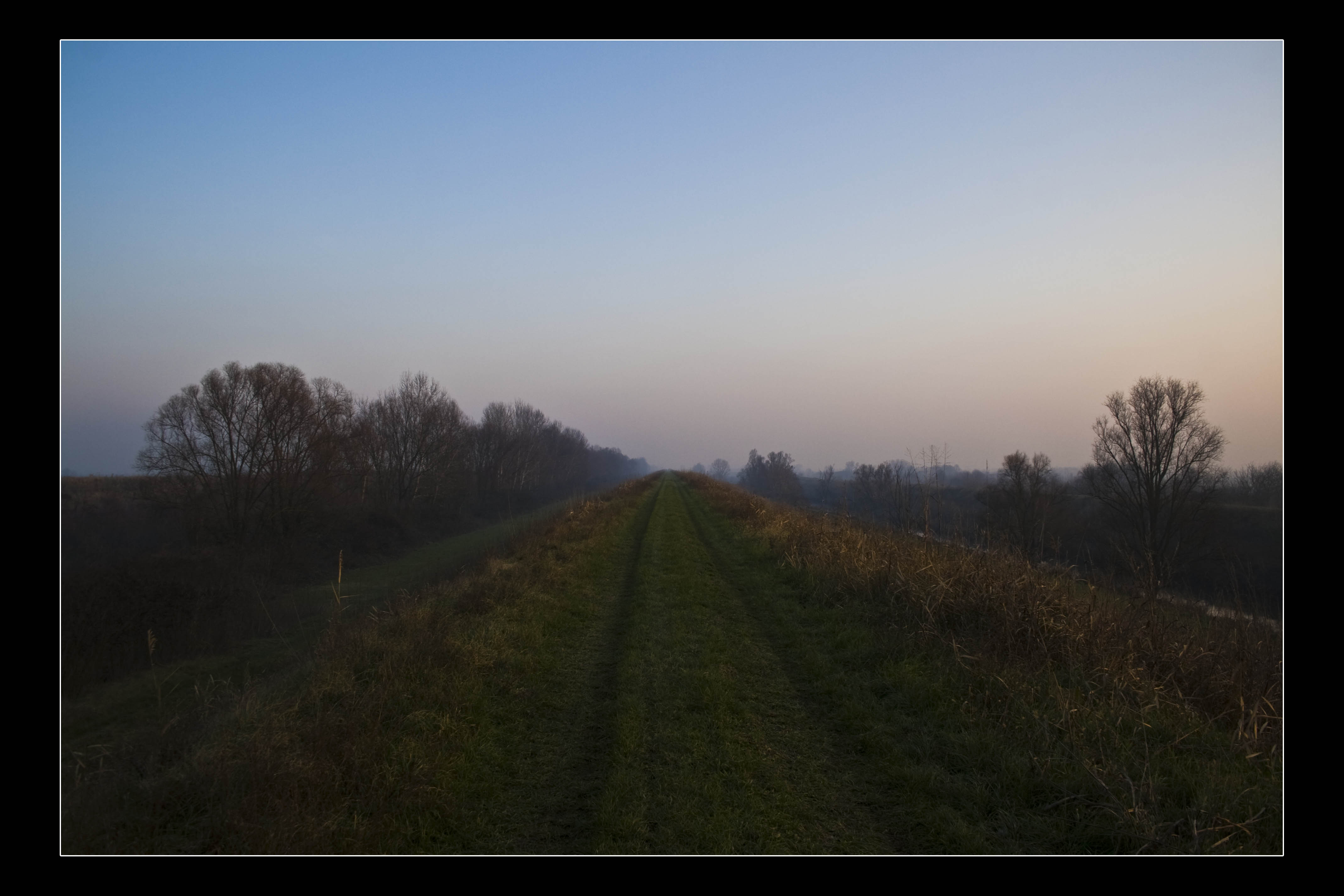 Ferrara Campagna Strada di campagna