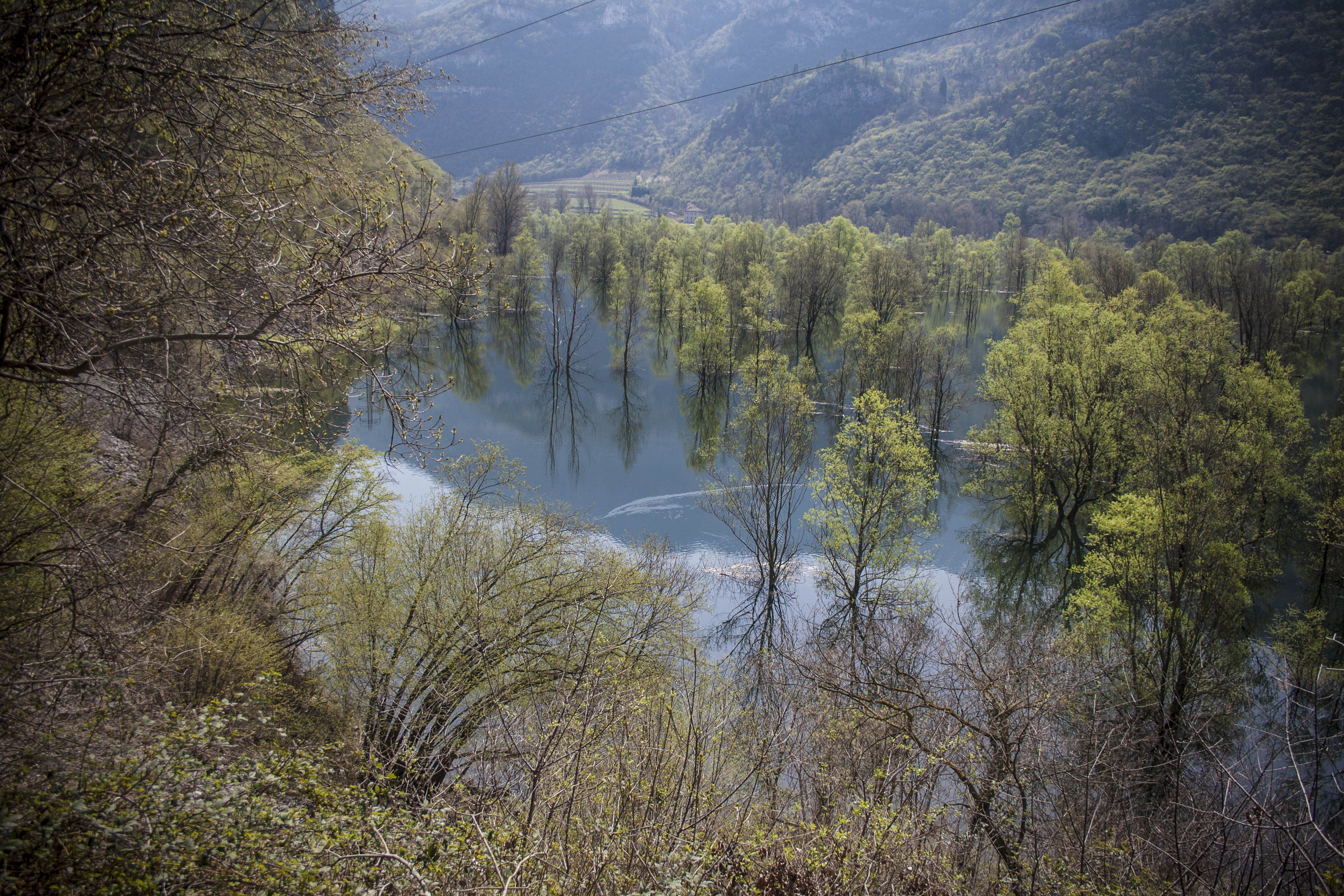 Nago (Tn) Lago di Loppio Natura 