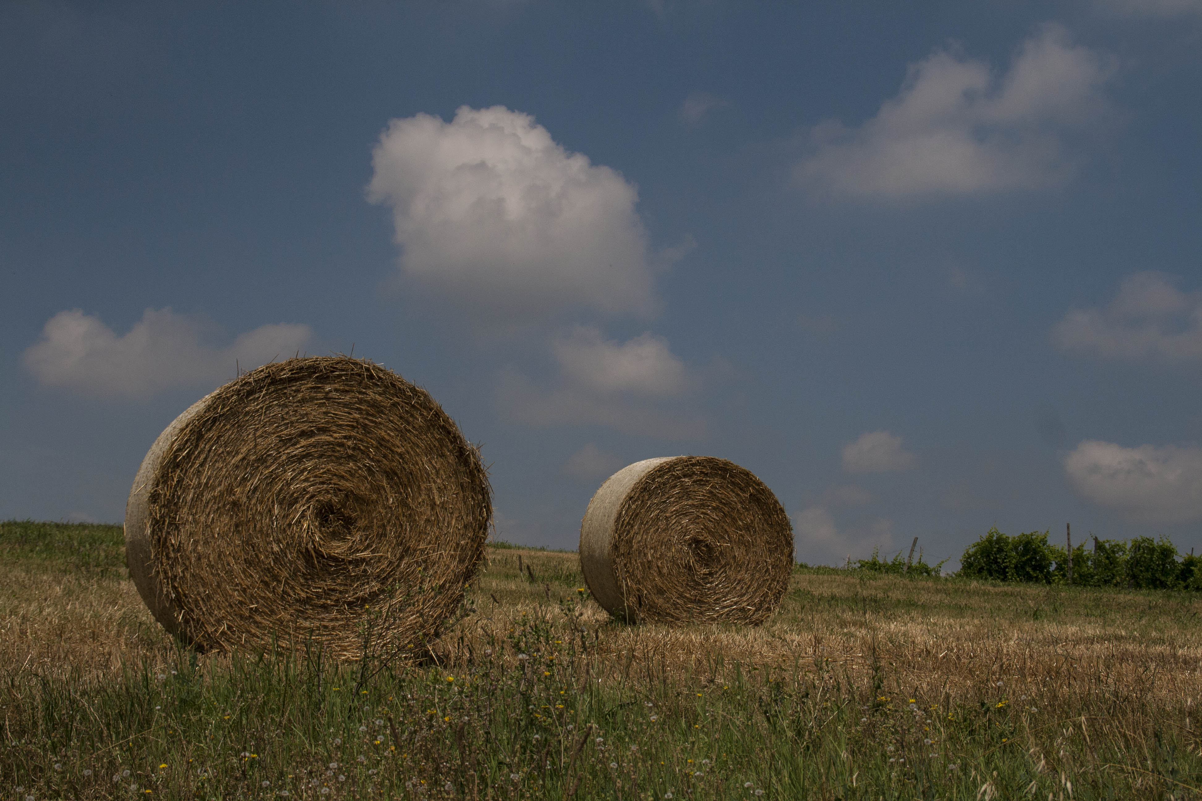 Crespellano (Bo) Covoni Natura 