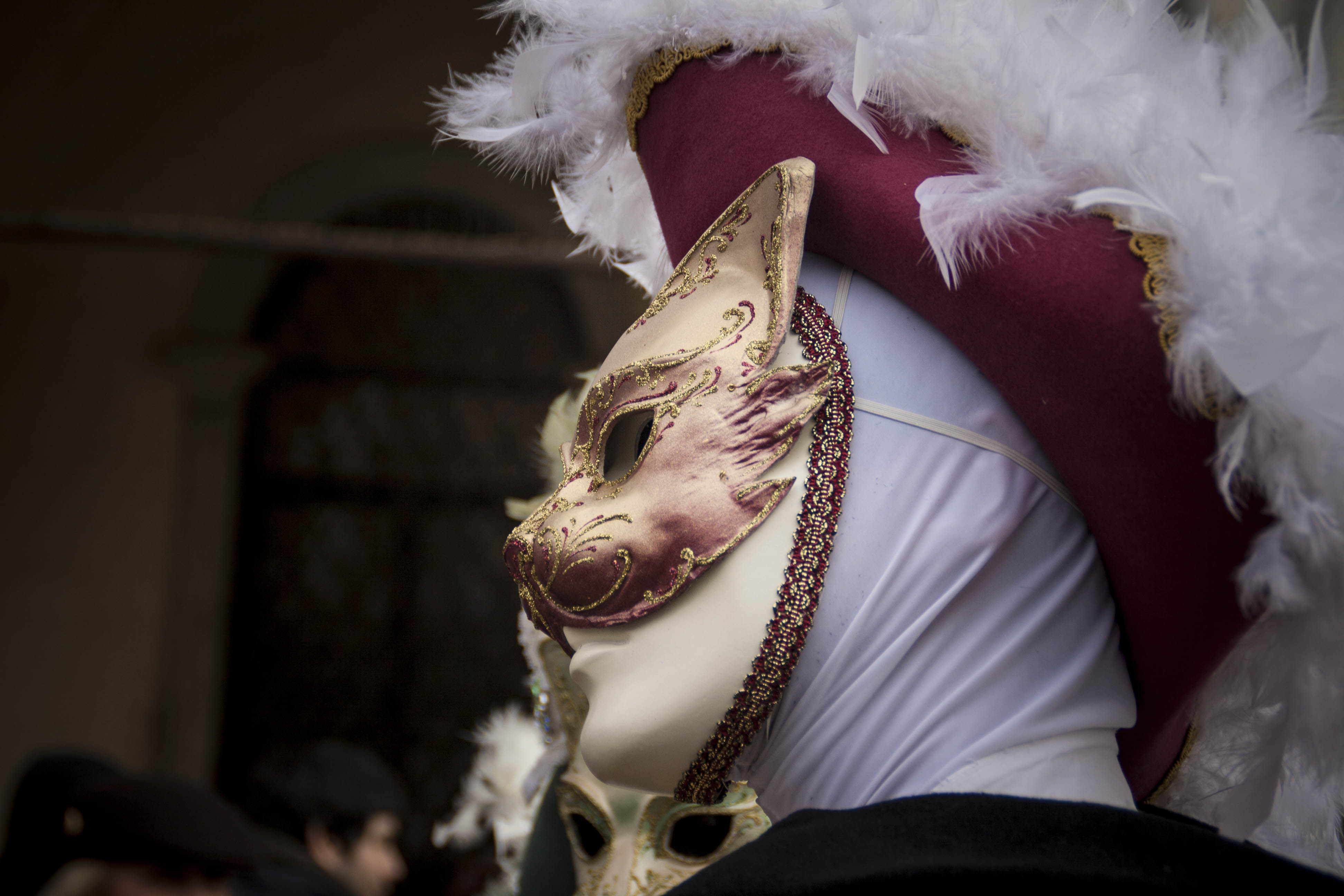 Venezia Carnevale Maschera carnevale di Venezia 2016