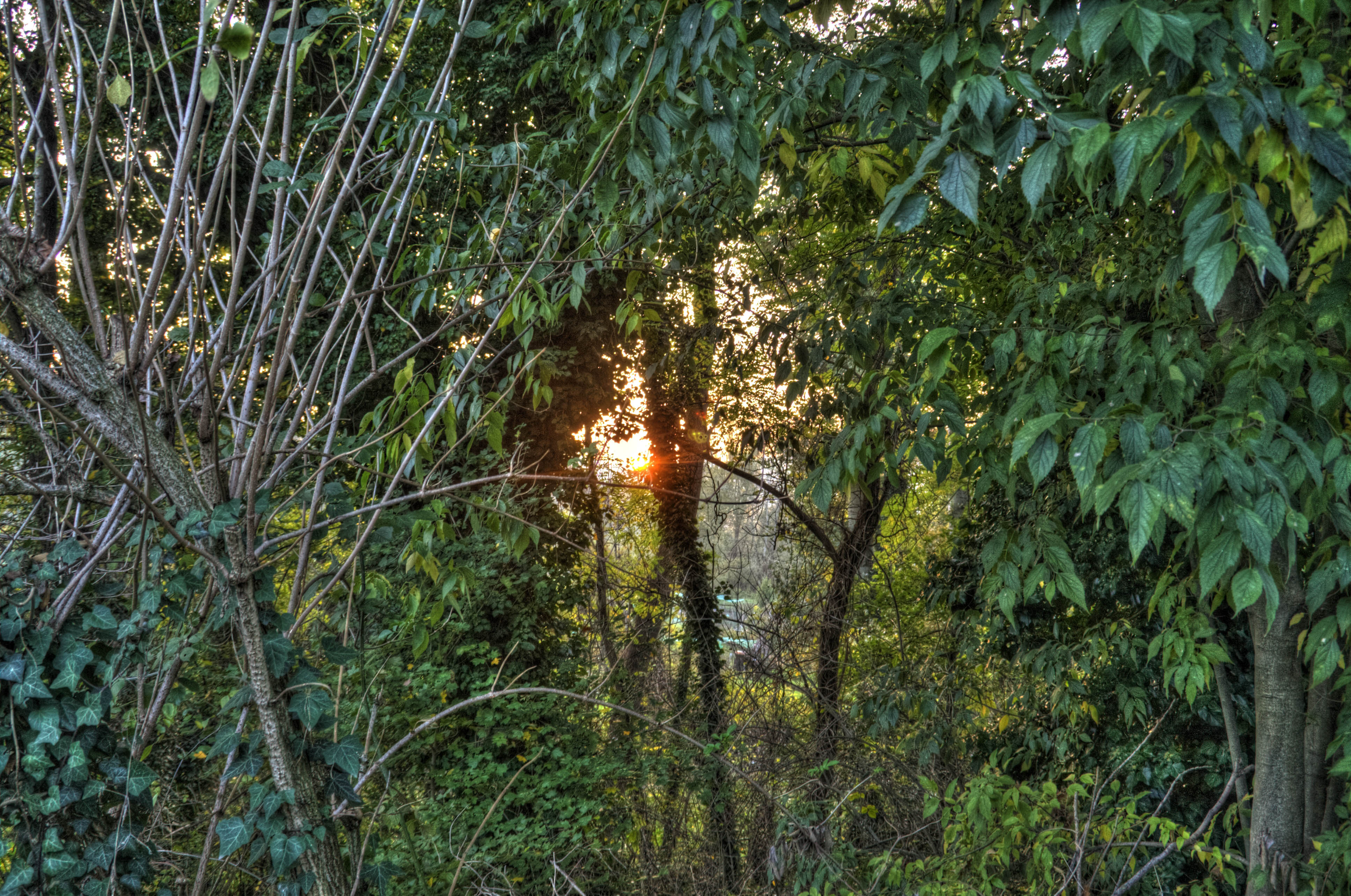 Bologna Casalecchio di Reno HDR  