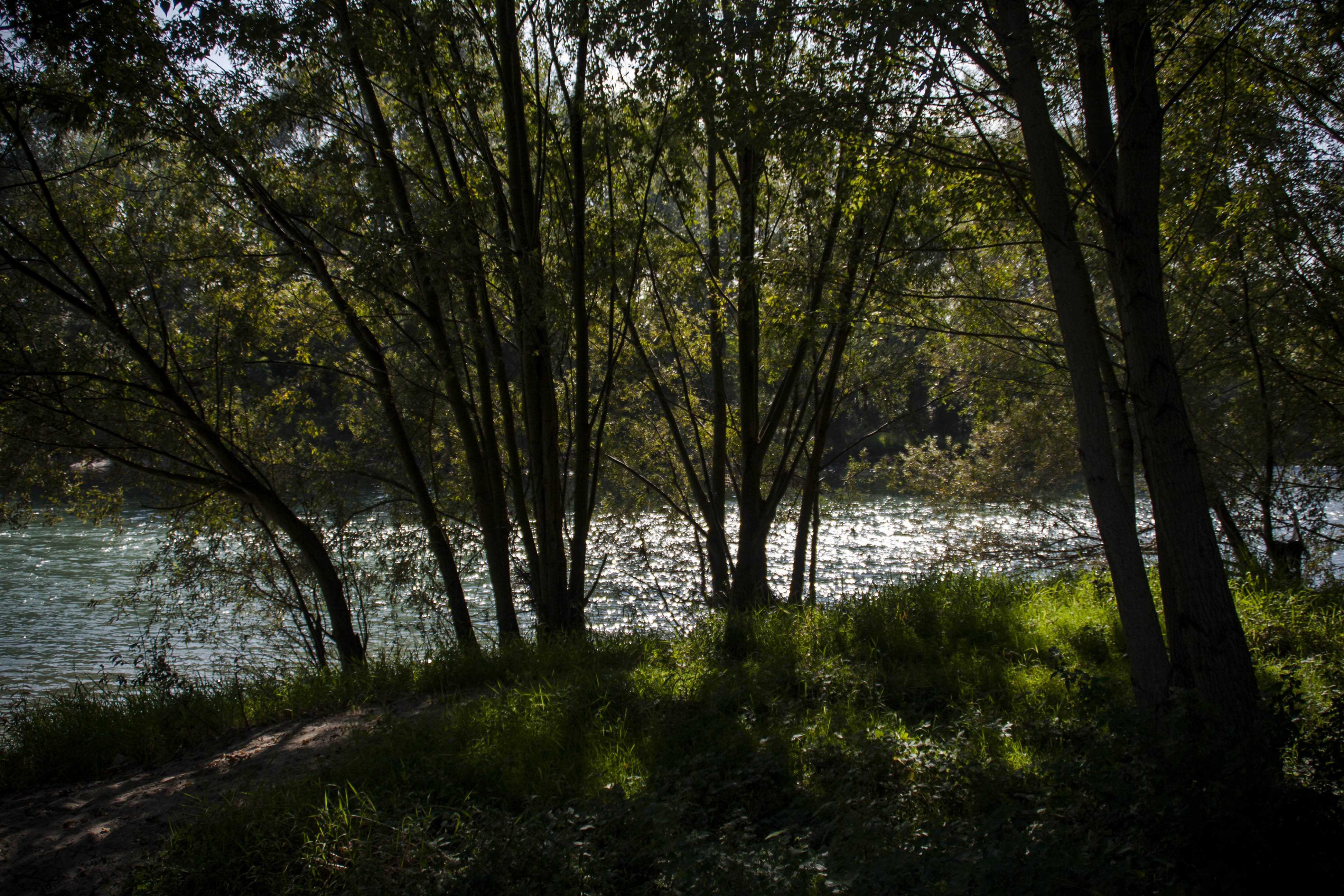 Verona Adige Fiume 