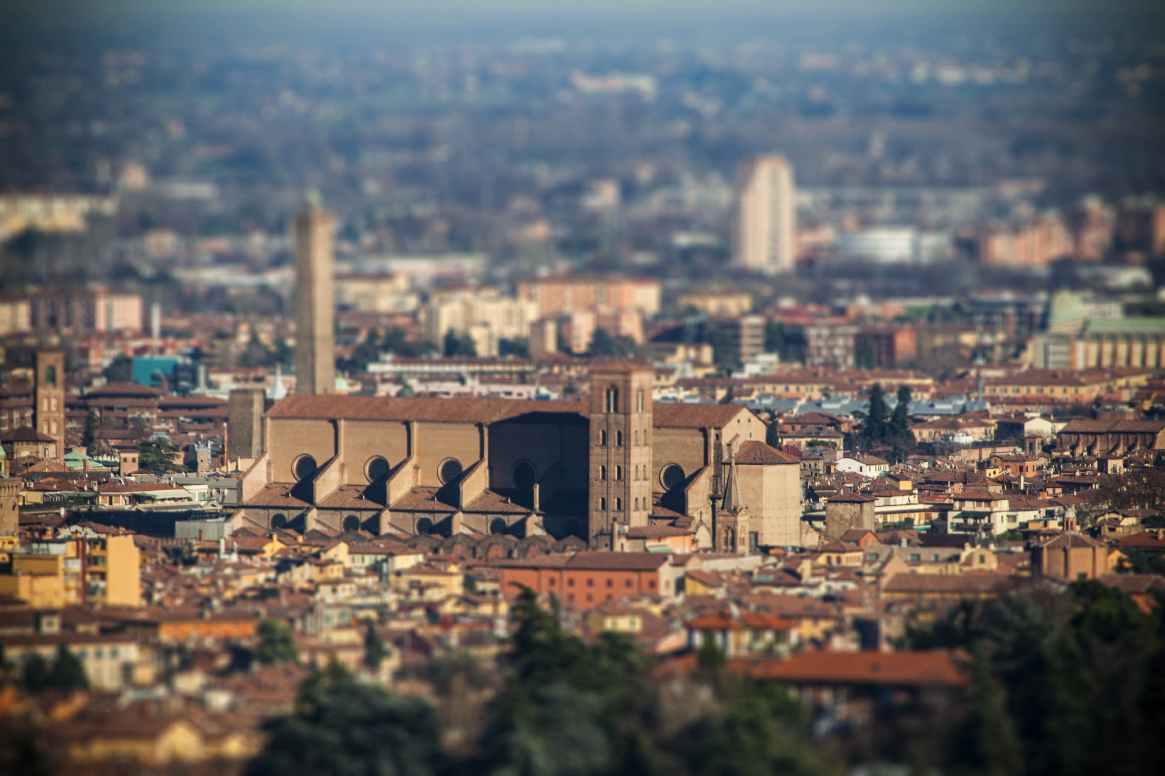 Bologna San Petronio Chiesa Edificio Monumento 