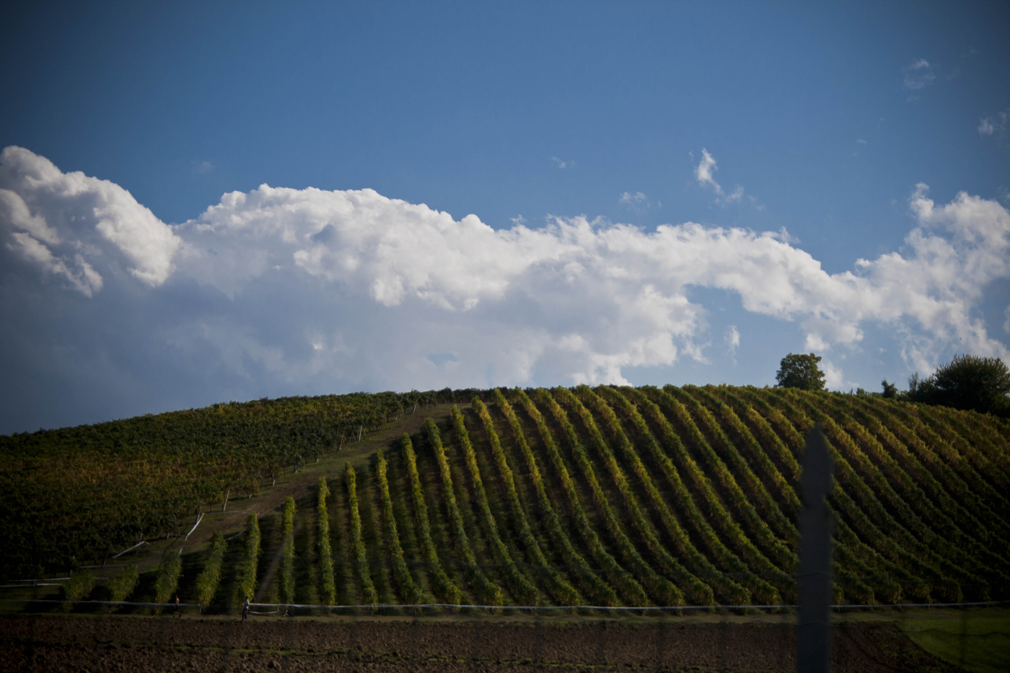 Crespellano (Bo) Collina Natura Nuvole Cielo 