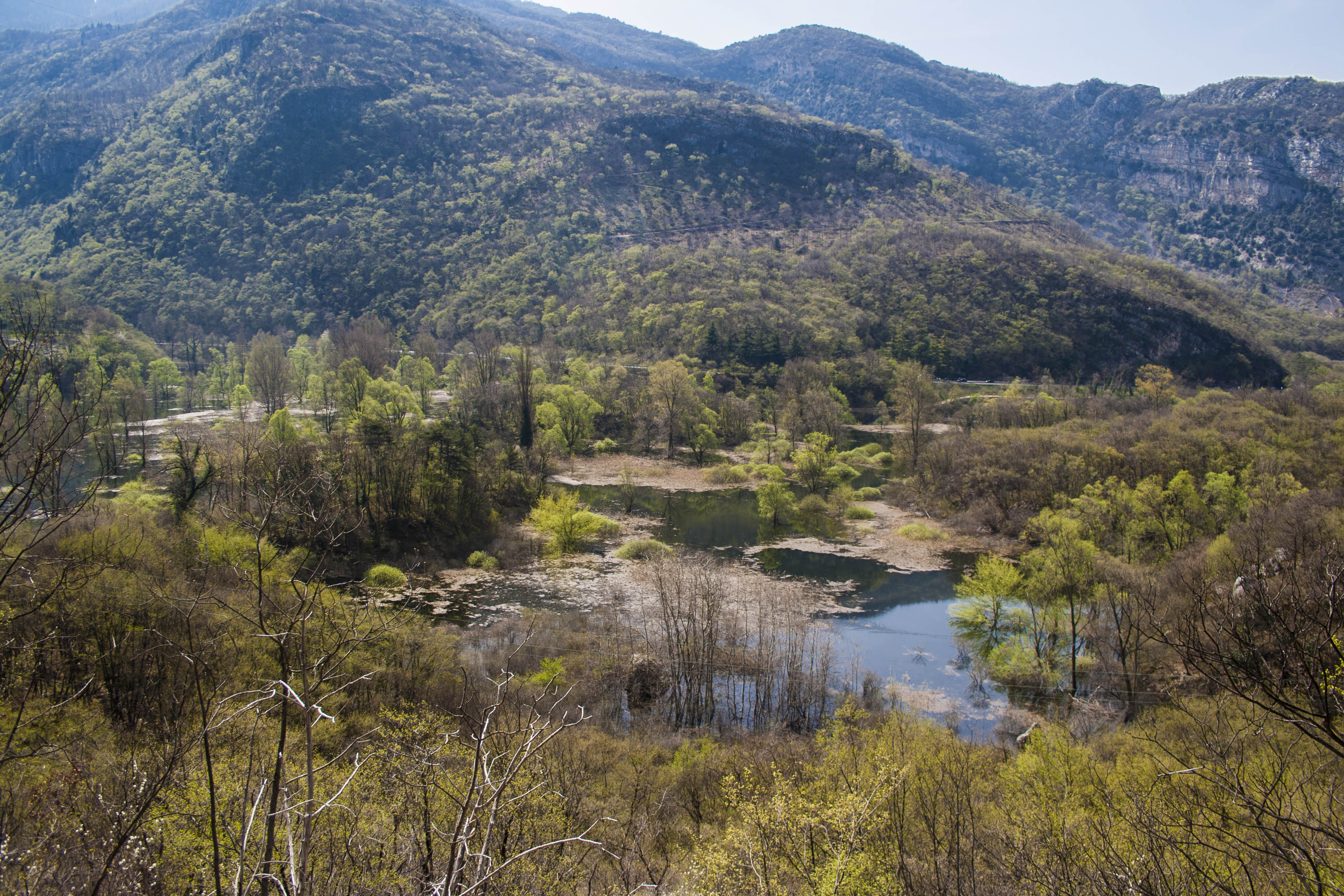 Nago (Tn) Lago di Loppio Natura 