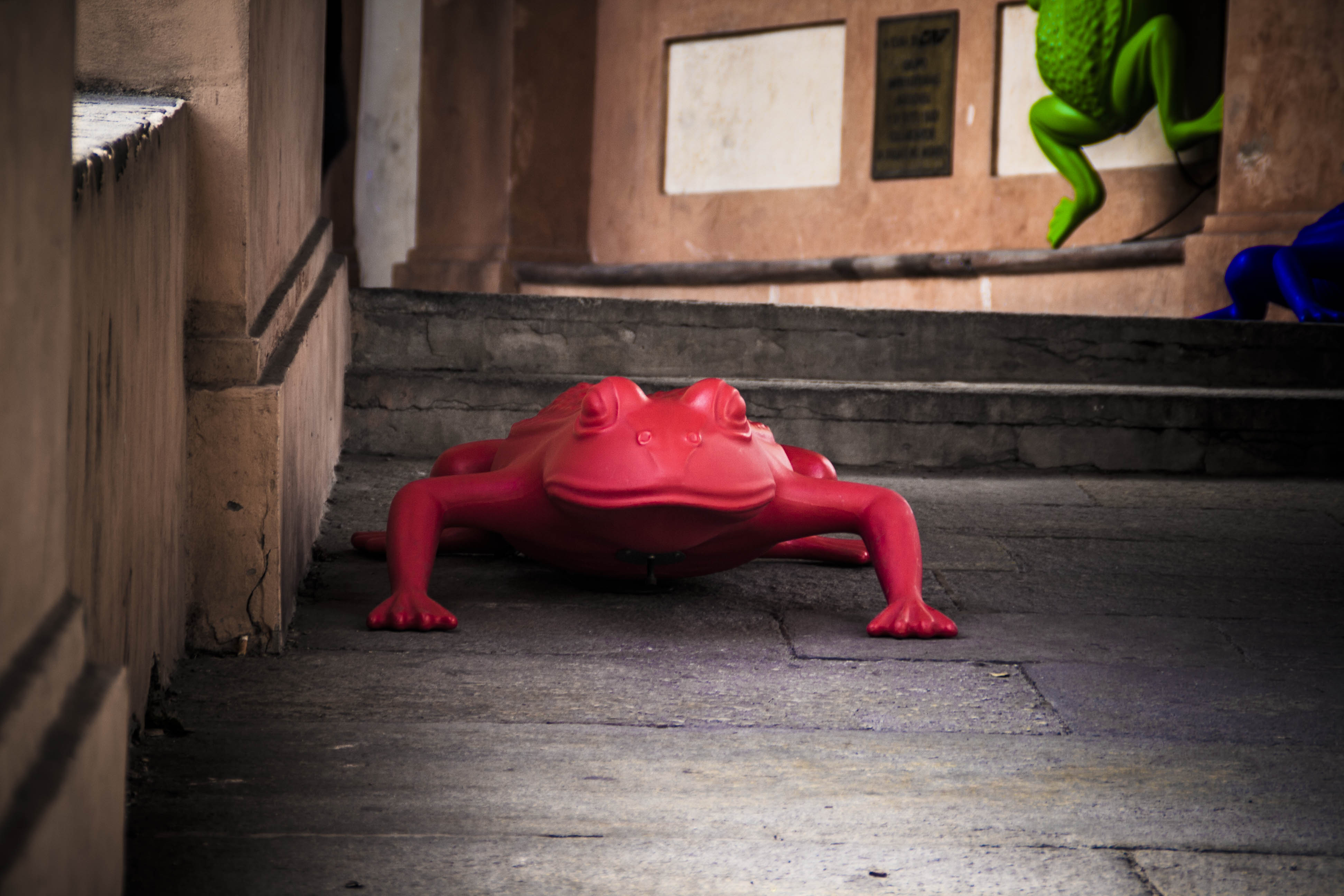 Bologna Rana Particolare Il San Looca Day 2014