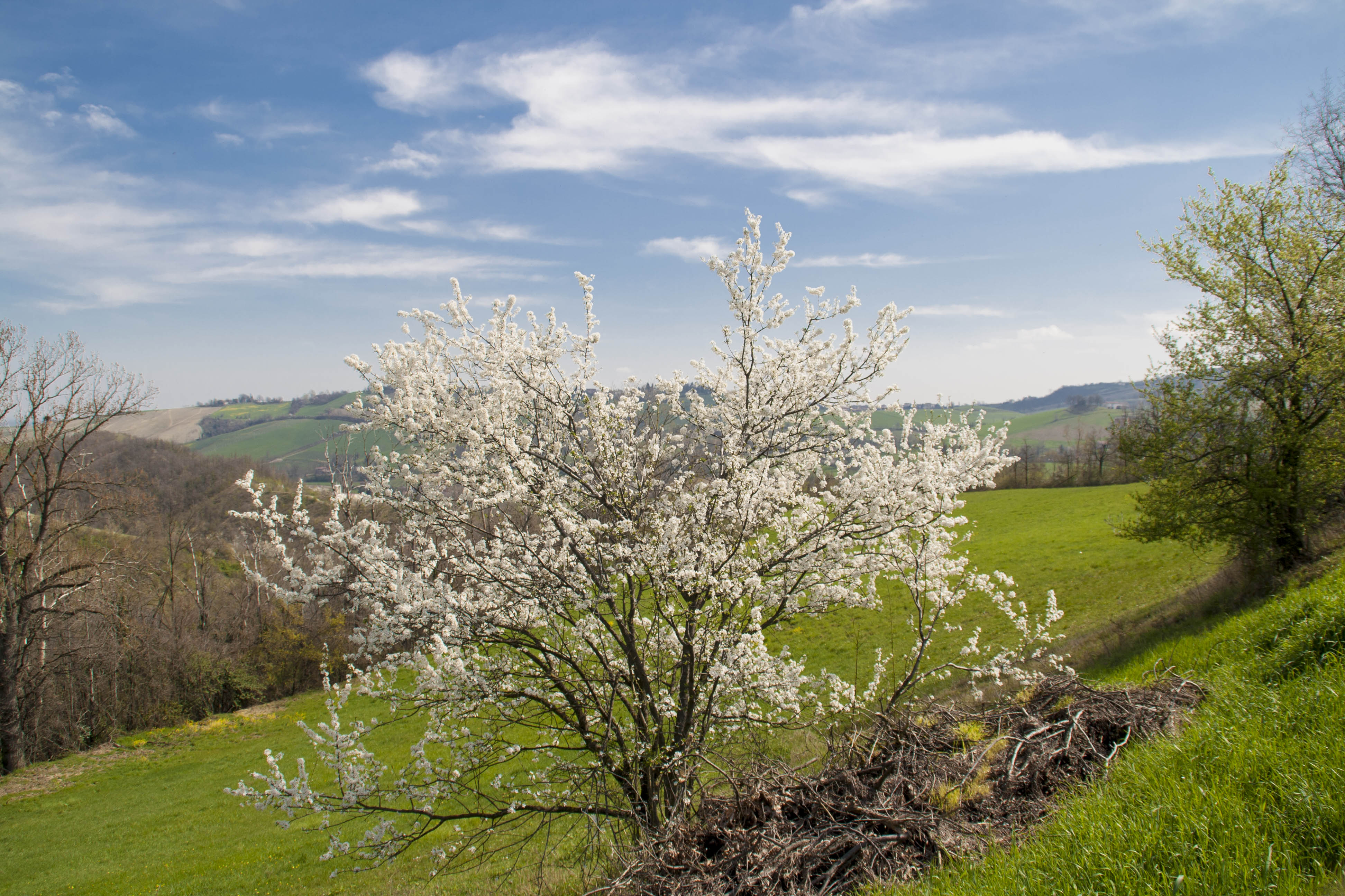 N/A natura Cielo Nuvole 