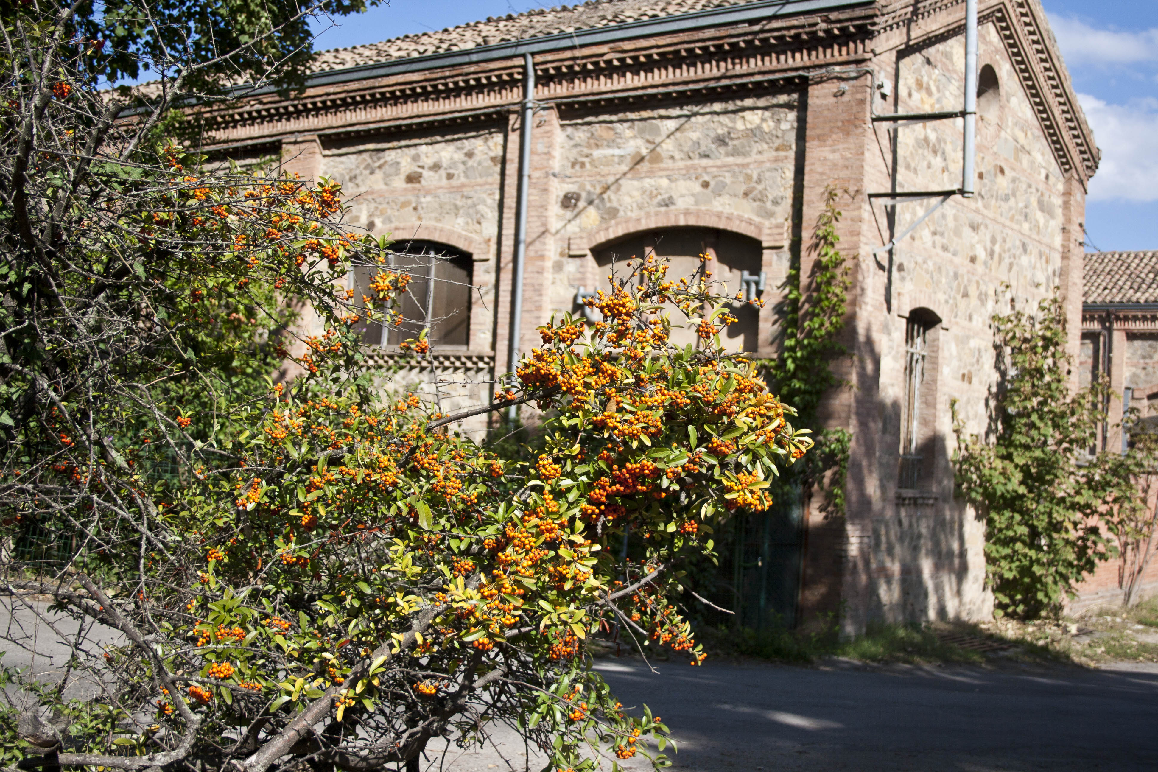 Savignano (Mo) Edificio Borgo 