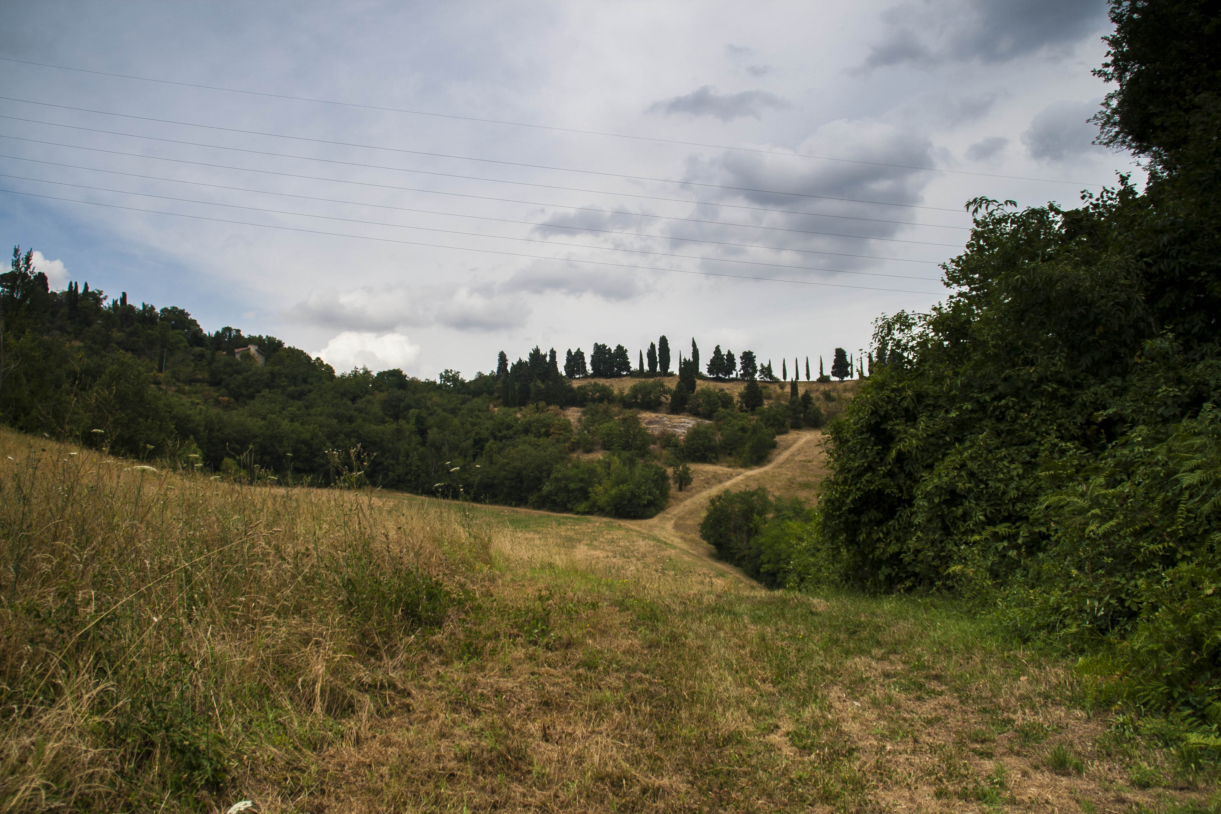 Parco dei Gessi Bolognesi e Calanche dell'Abbadessa (Bo) Natura Sentiero 