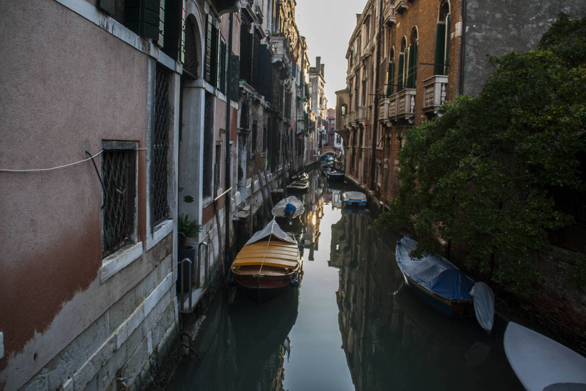 Venezia Edifici Monumenti Canale 