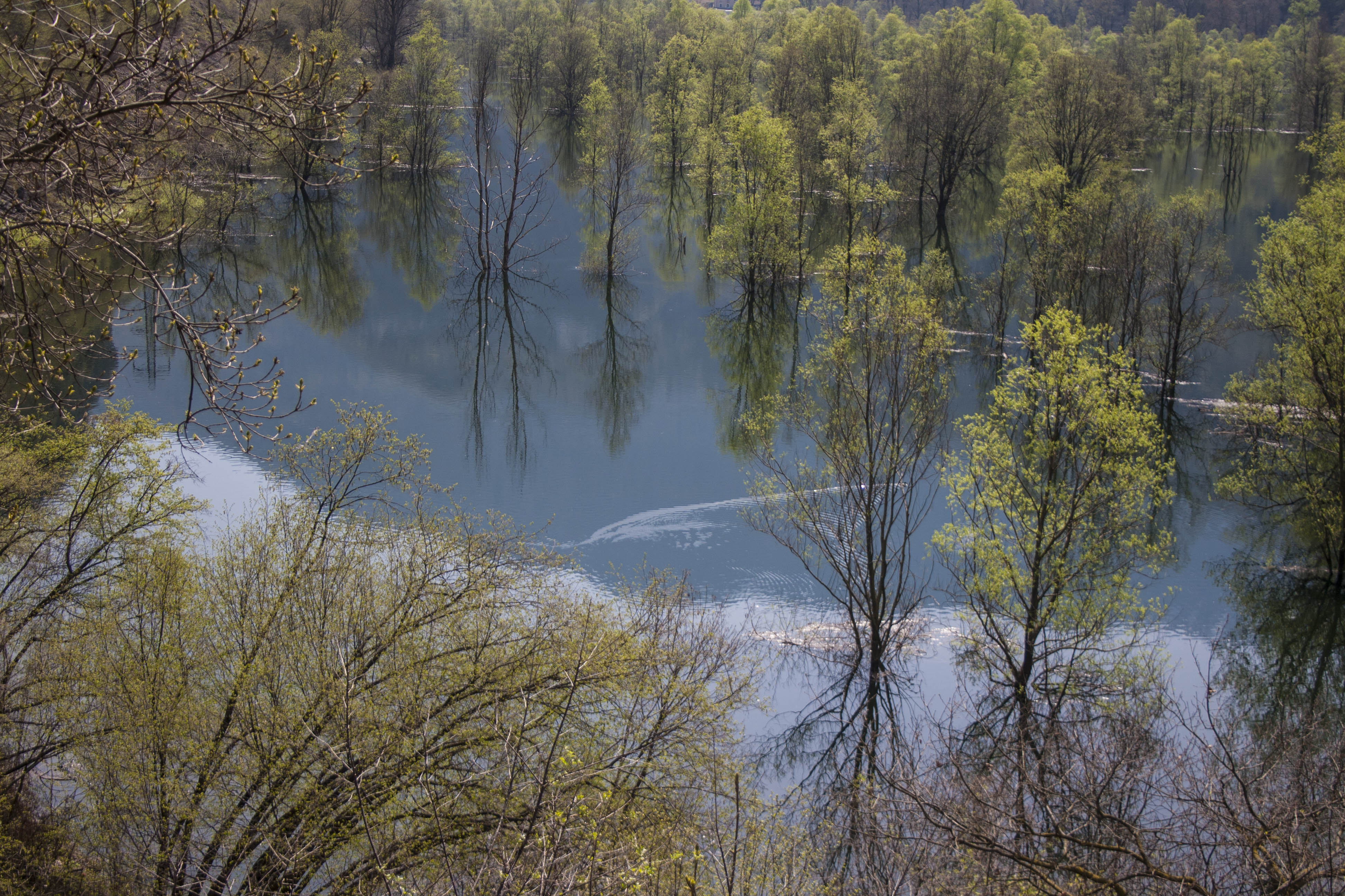 Nago (Tn) Lago di Loppio Natura 