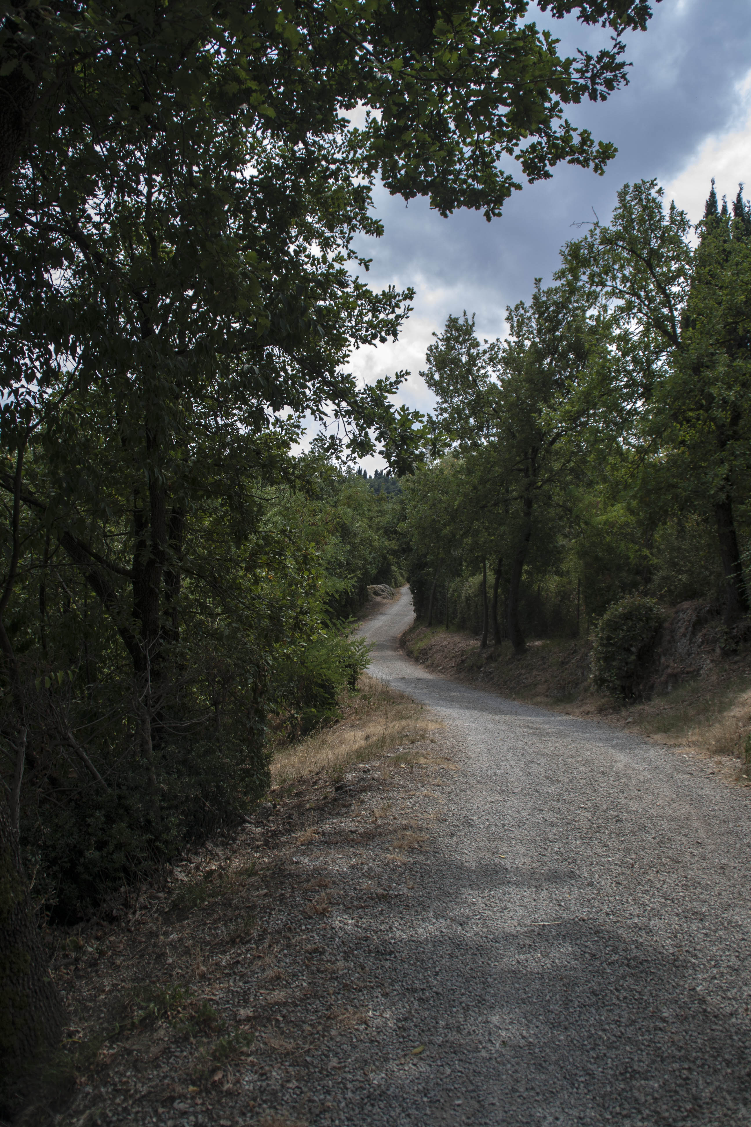 Parco dei Gessi Bolognesi e Calanche dell'Abbadessa (Bo) Natura Sentiero 