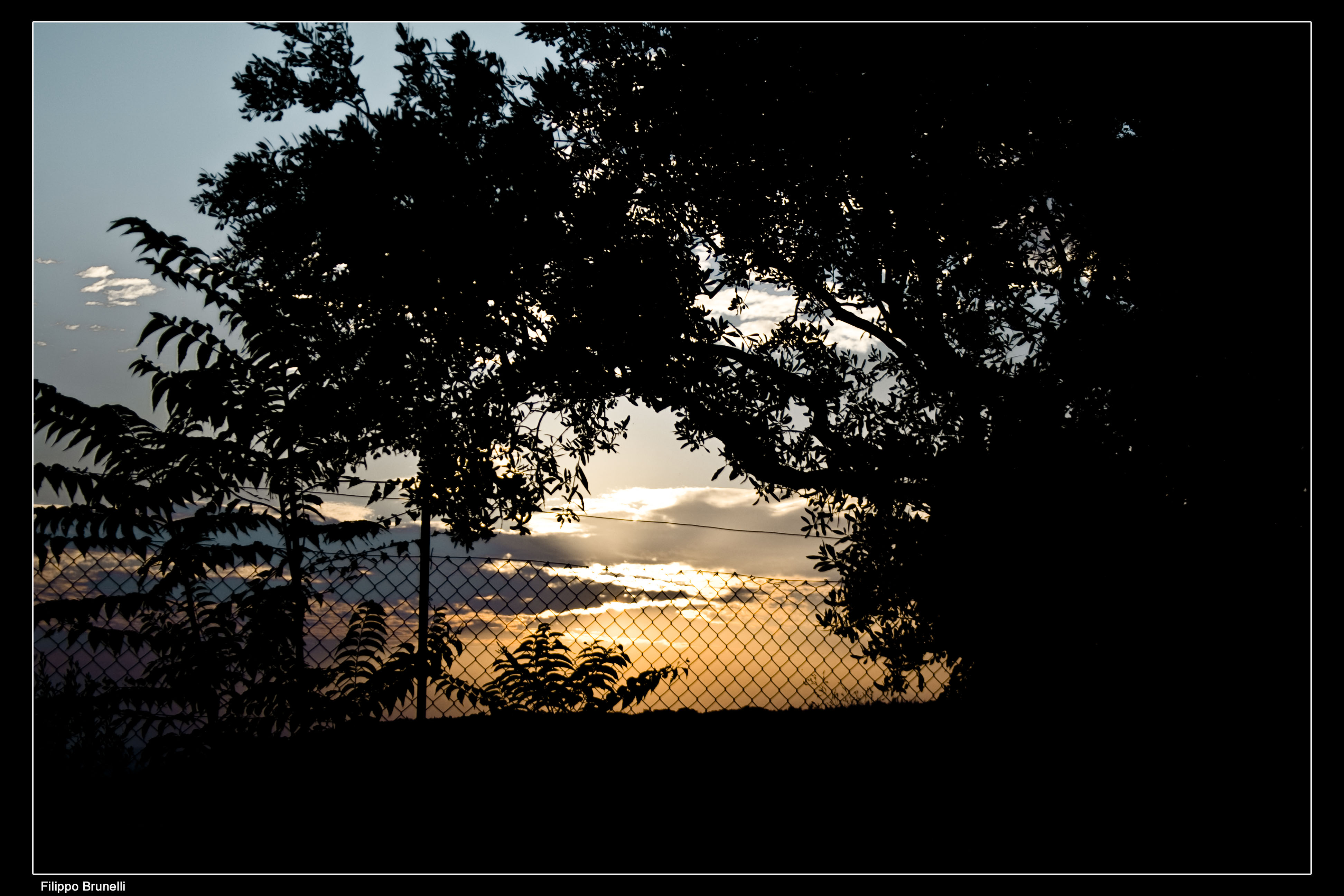 Verona Tramonto 