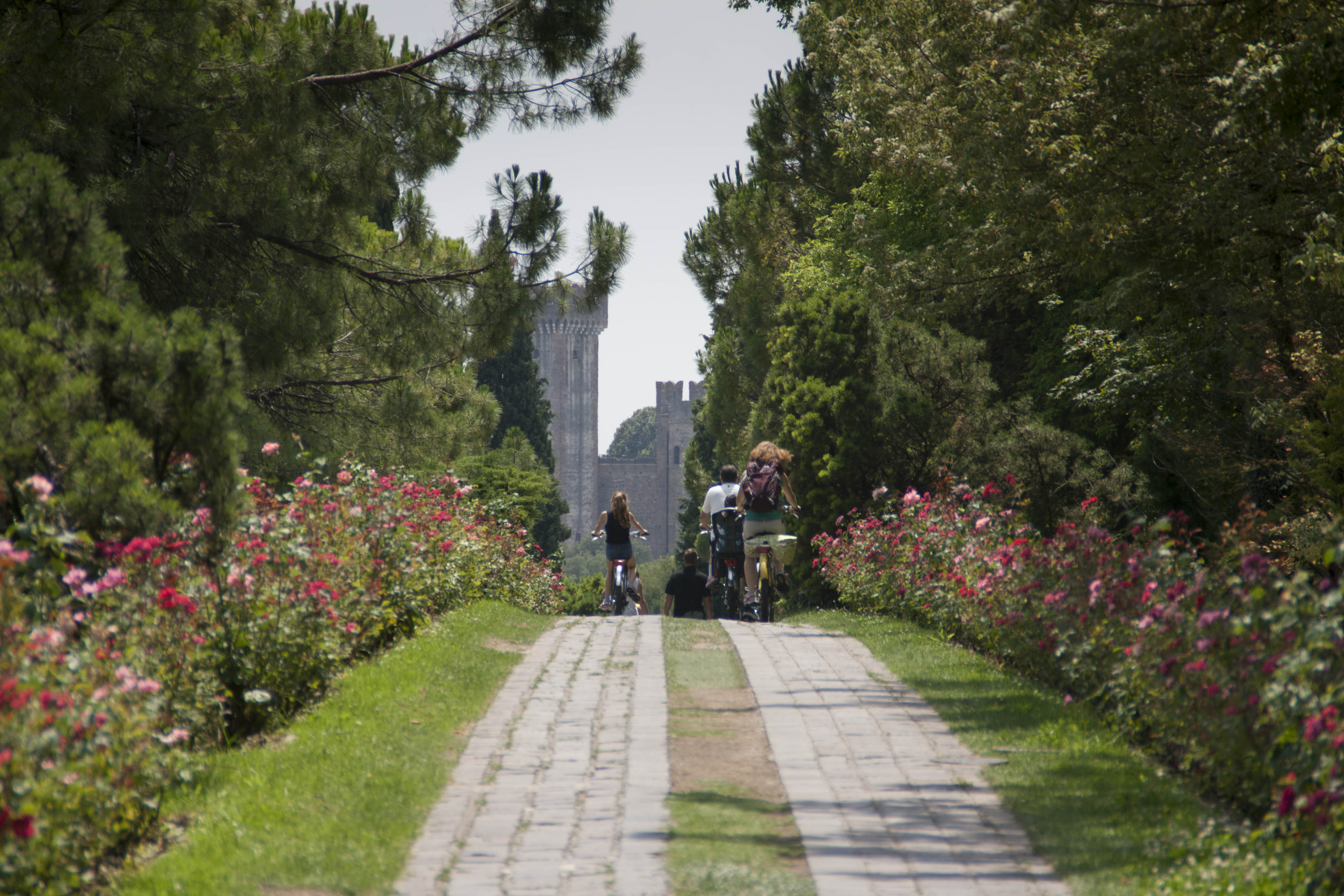 Valeggio sul Mincio (Vr) Fiori Natura Biciclette Sentiero Parco Sigurà