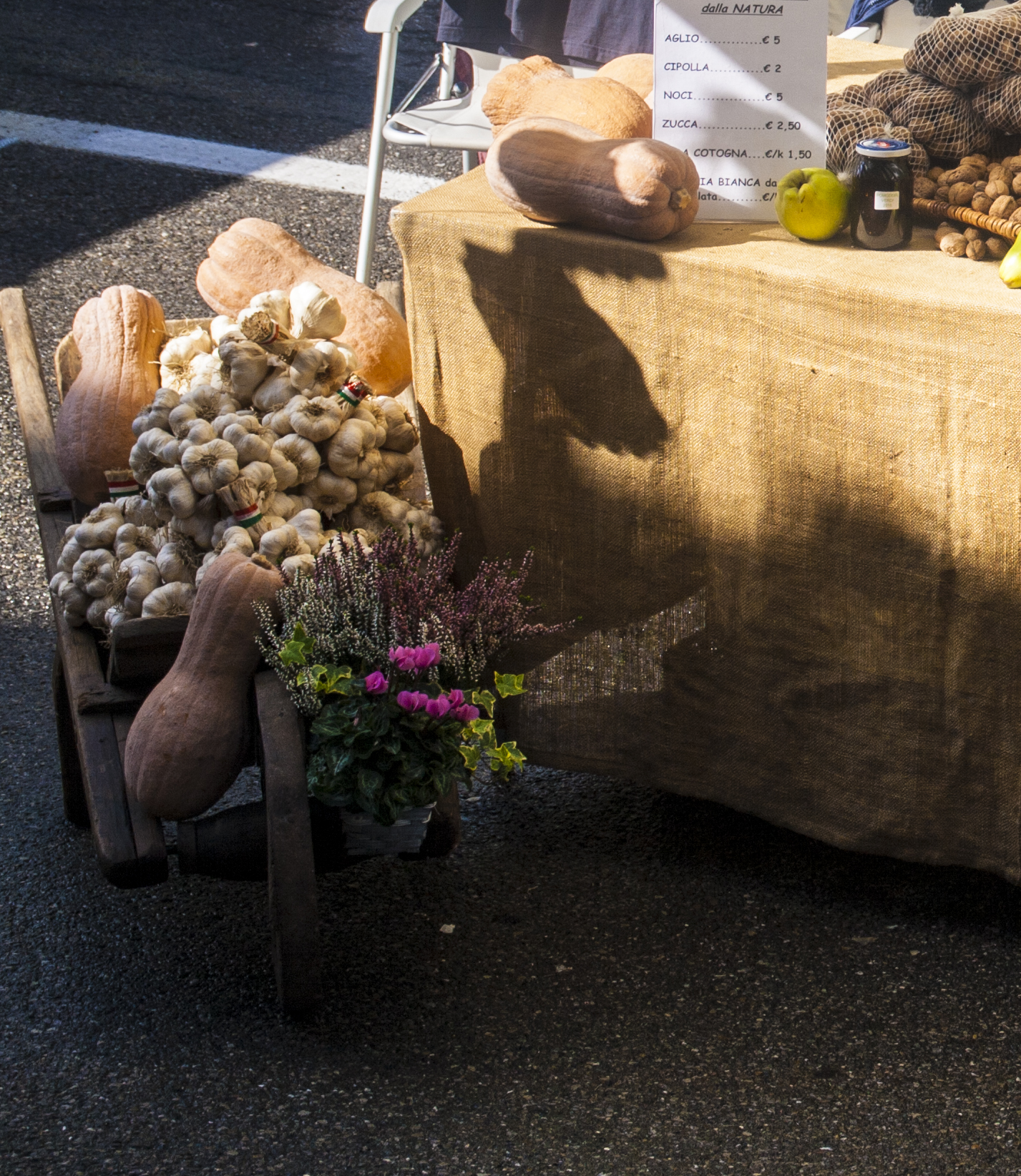 Bologna Festa Sagra San Looca Day 2015