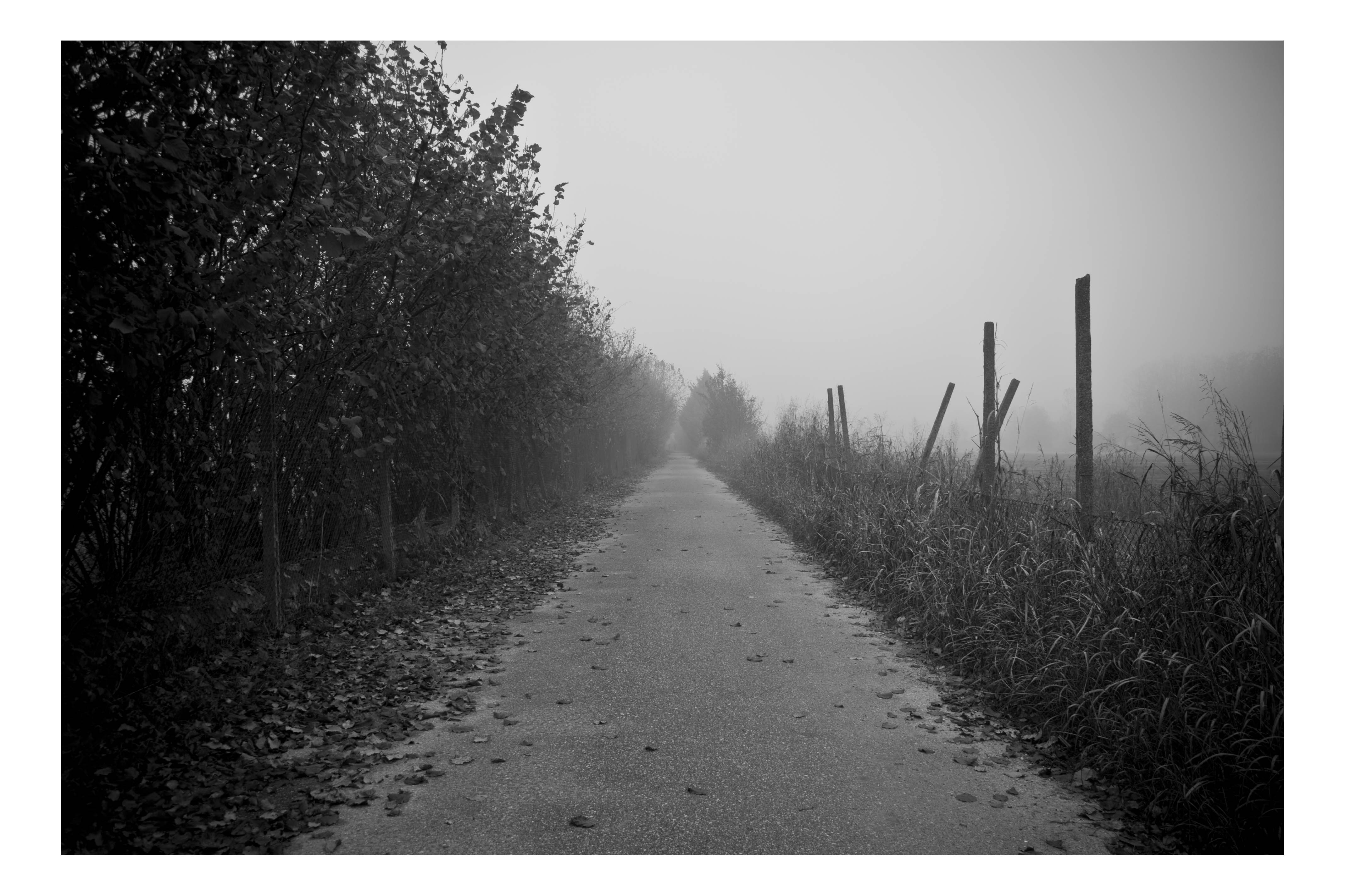 Verona Nebbia Strada B/N 