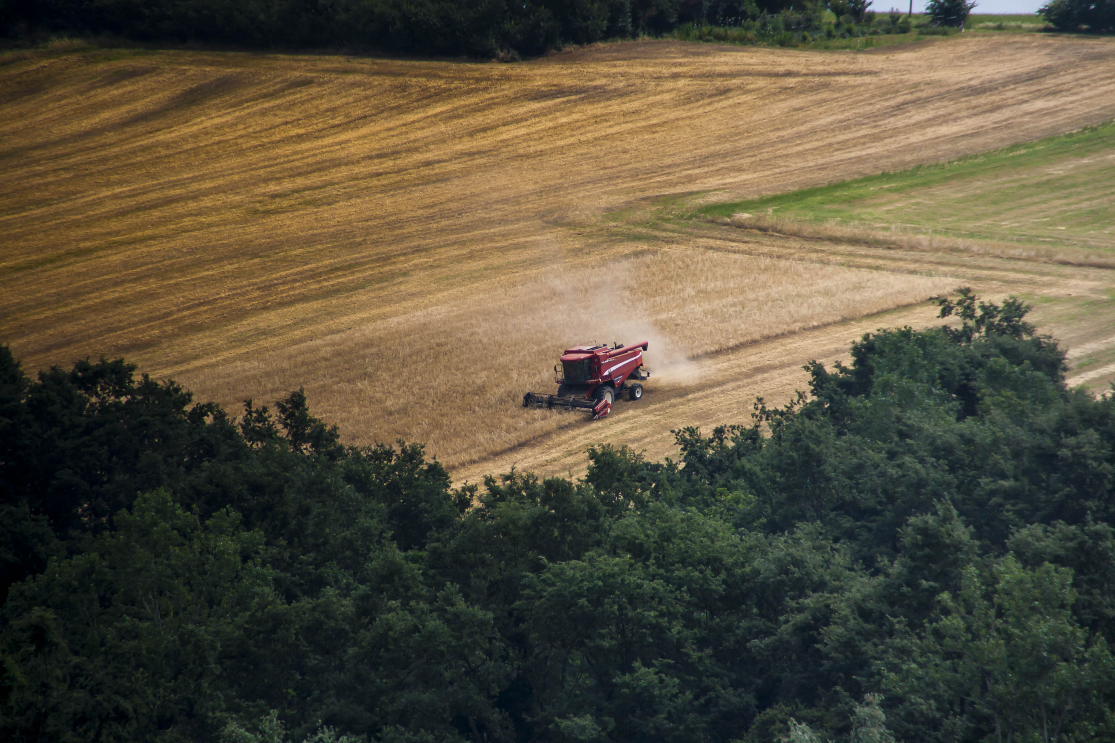 Crespellano (Bo) Natura Camapagna macchinari 