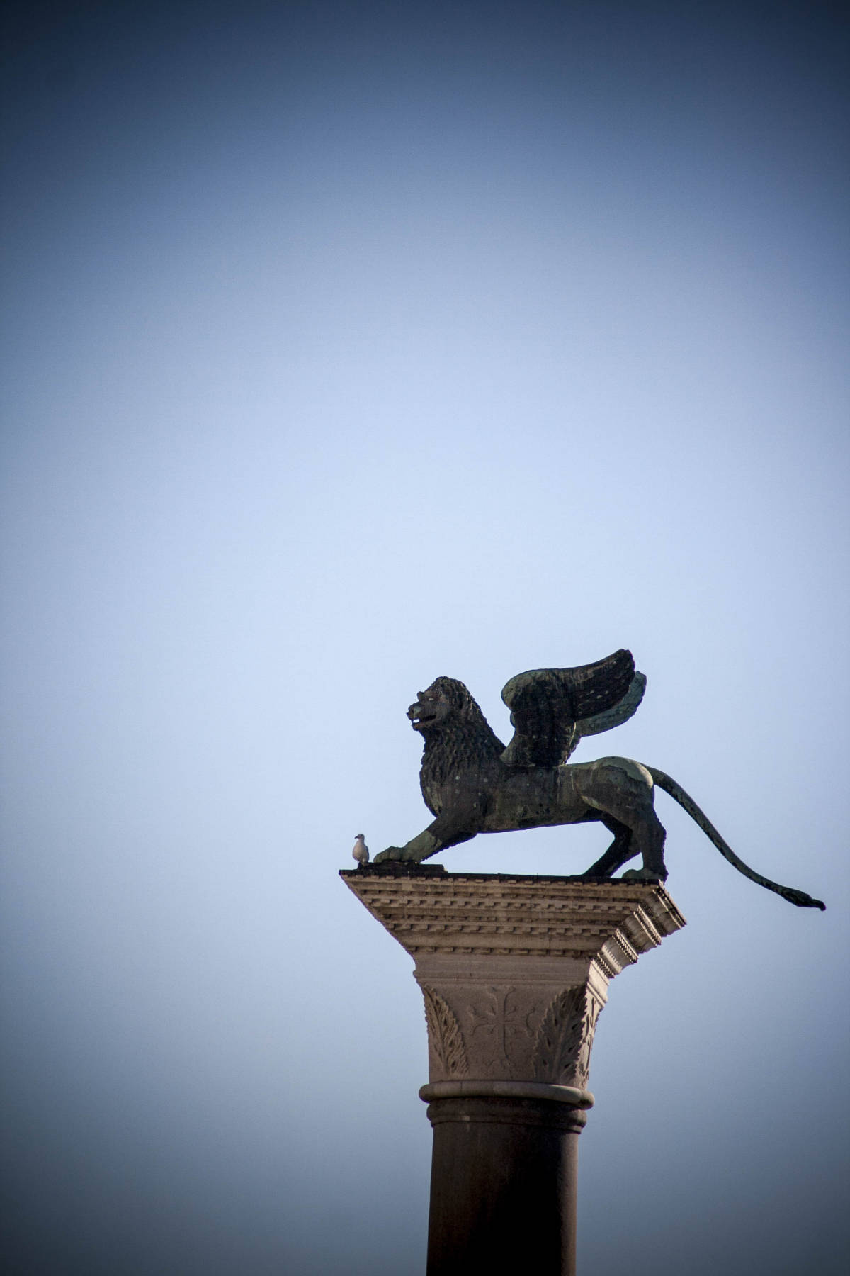 Venezia Statue  Il Leone di Venezia