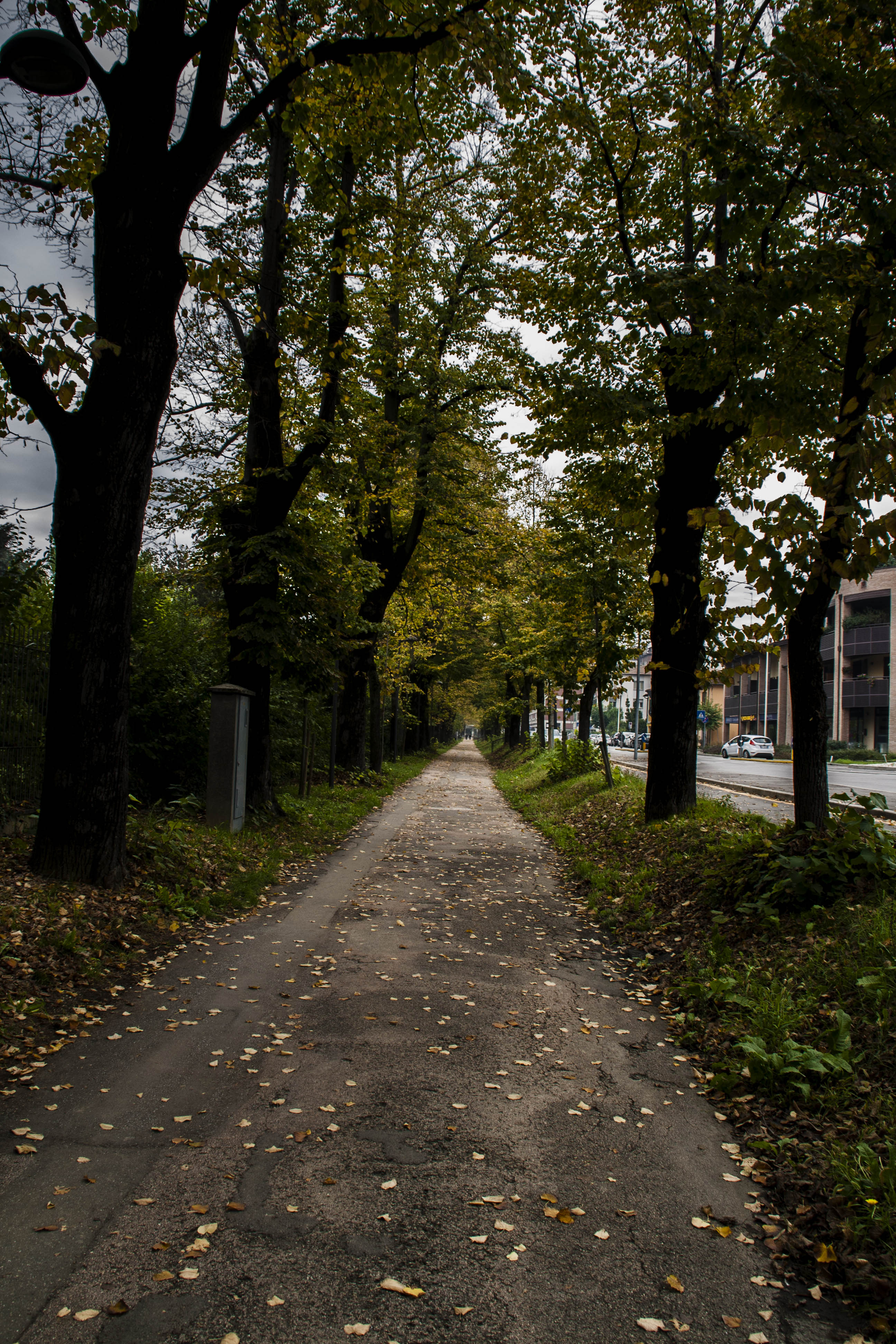 Faenza Autunno Strada 