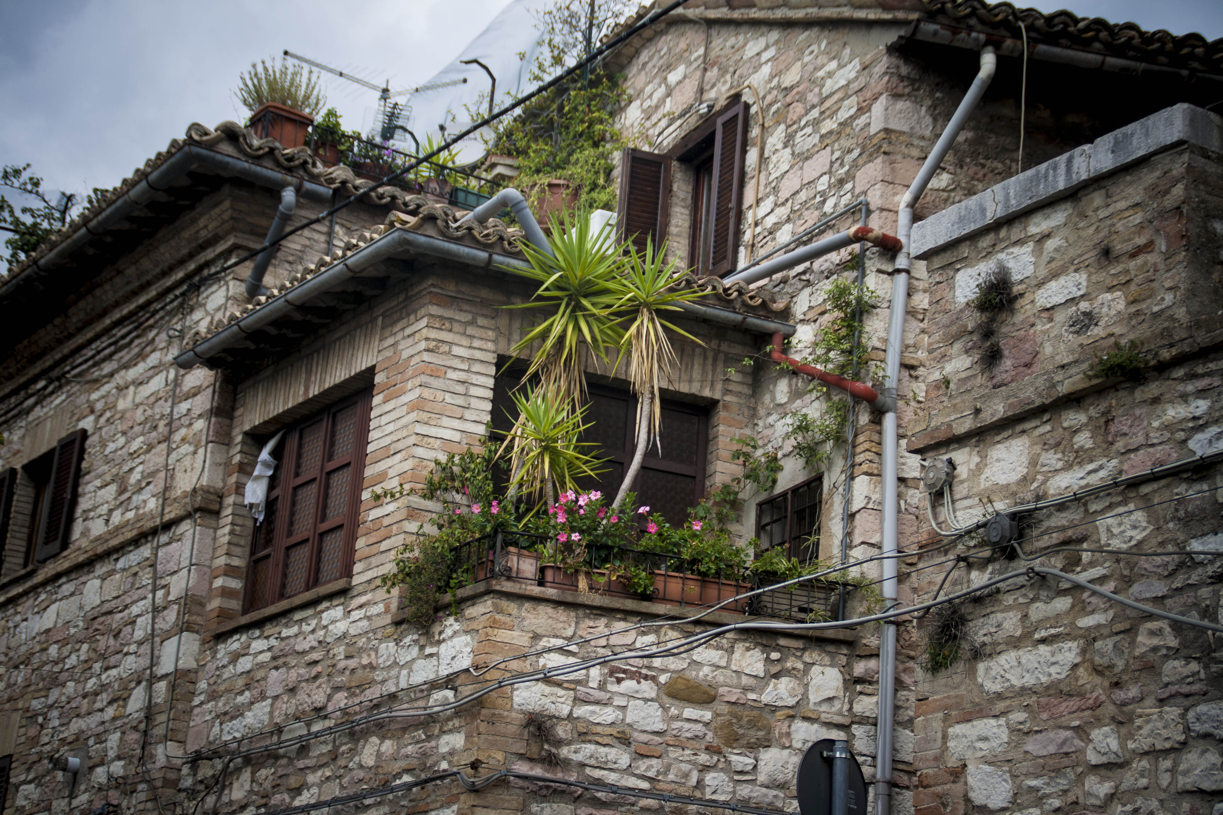 Assisi  Umbria Particolare 