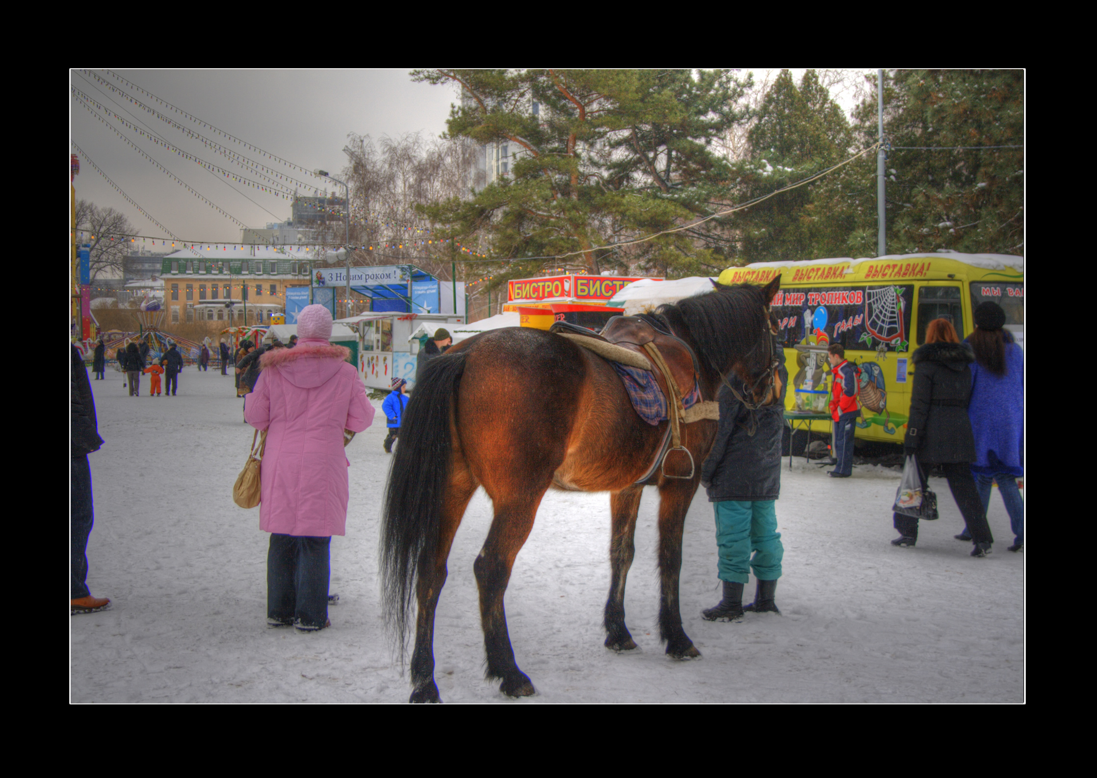 Dnipropetrovsk Ucraina Cavalli neve HDR 