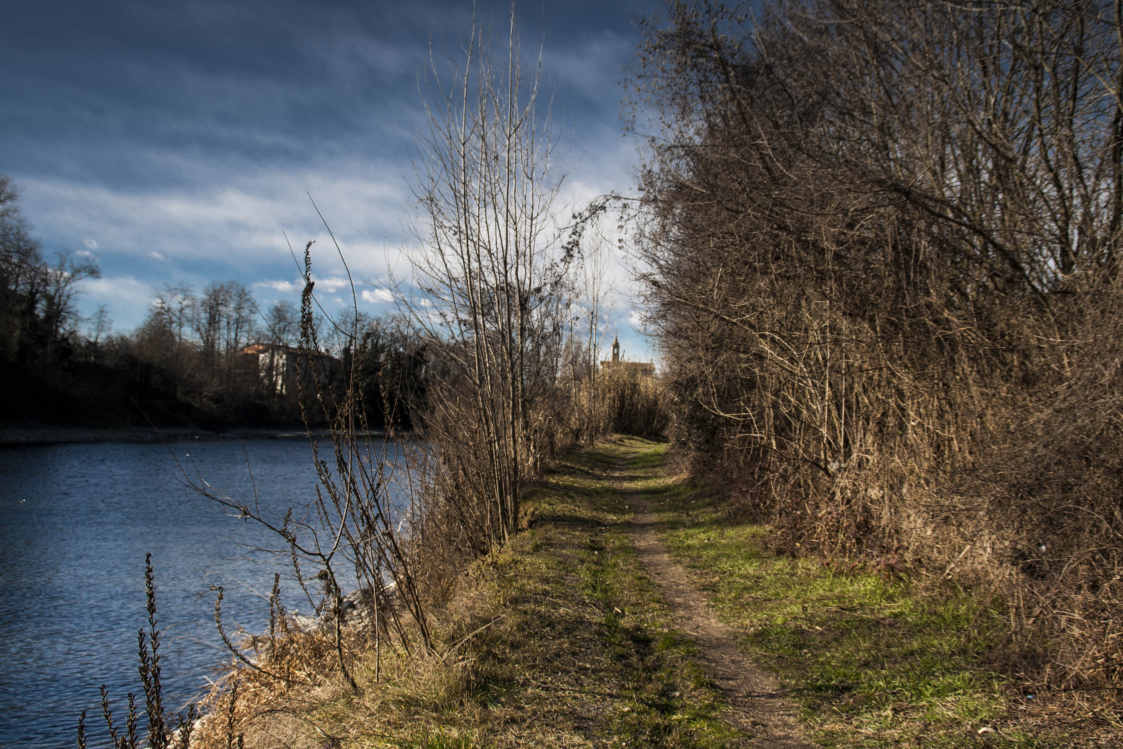 Settimo (Vr) Adige Fiume Percorso lungo Adige da Parona a Pescantina