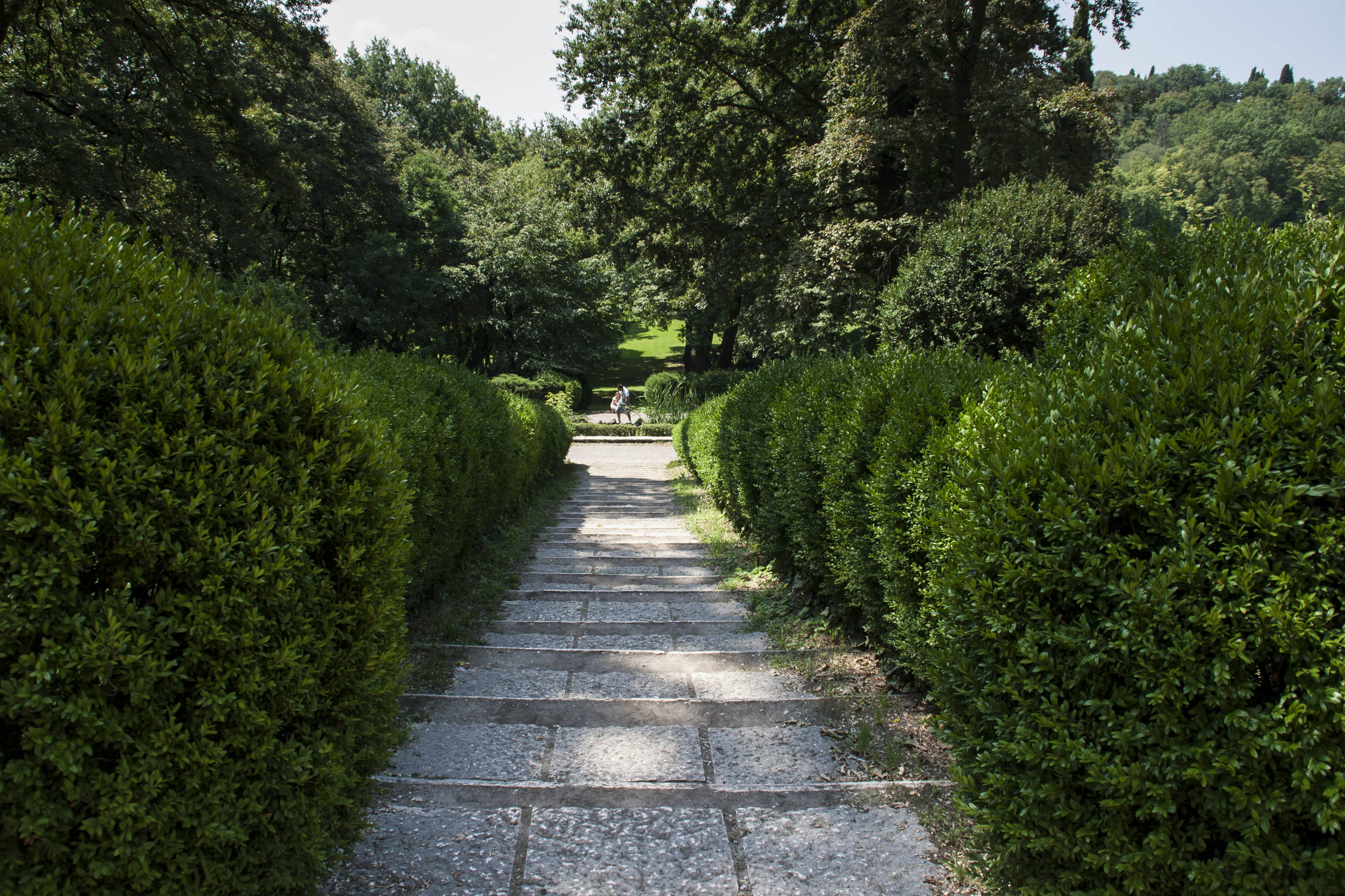 Valeggio sul Mincio (Vr) Fiori Natura Parco Sigurà