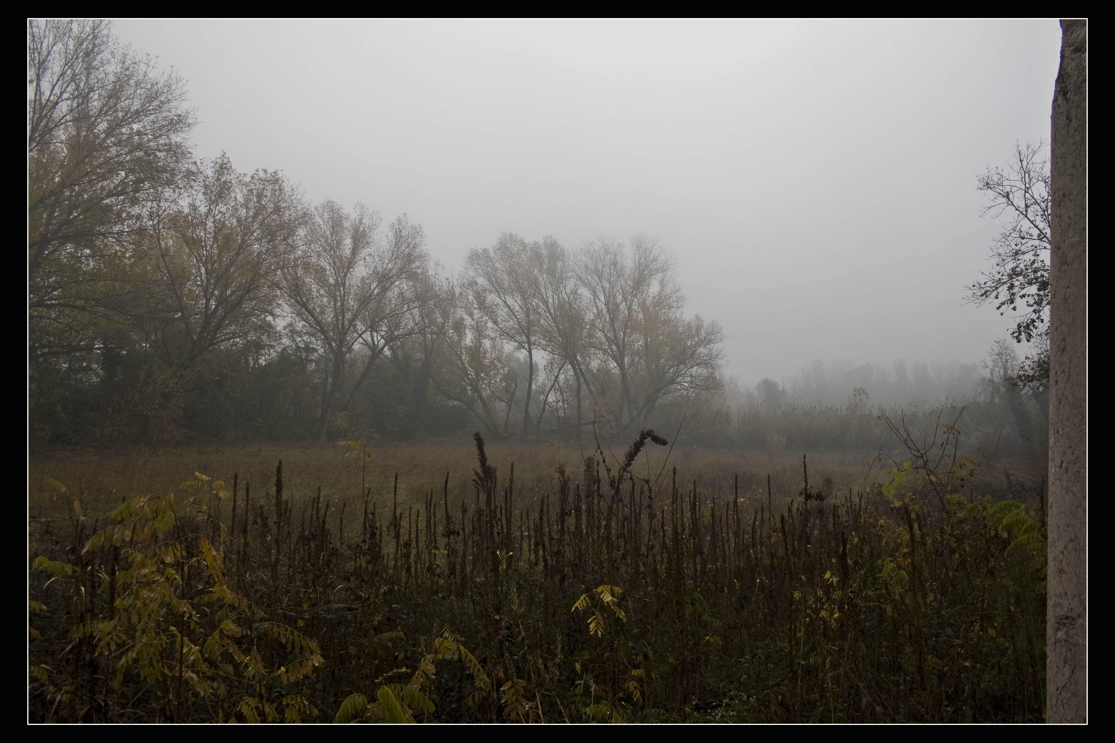 Verona Nebbia Campagna Ex Lazzareto del Palladio