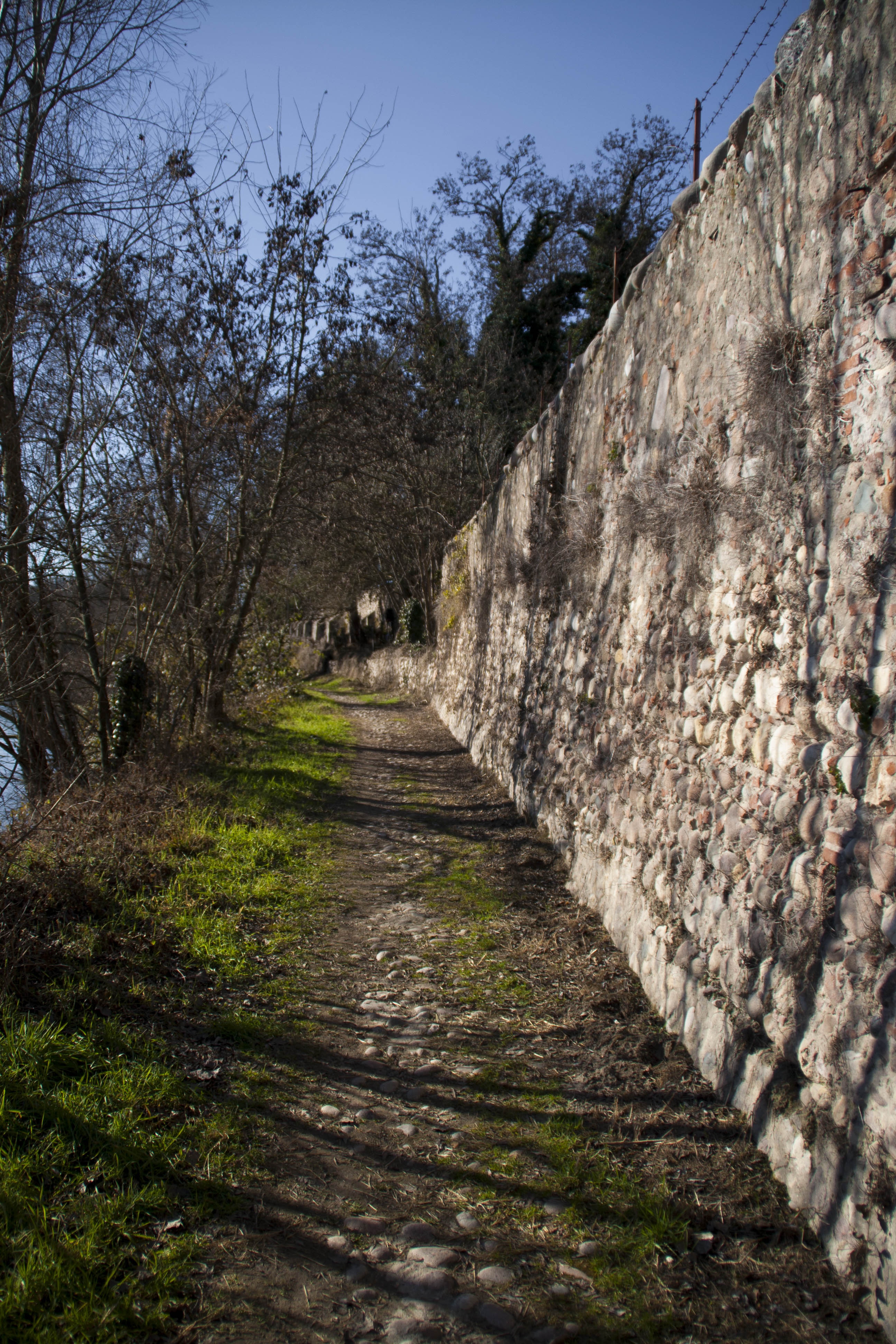 Parona (Vr) Adige Fiume Percorso lungo Adige da Parona a Pescantina