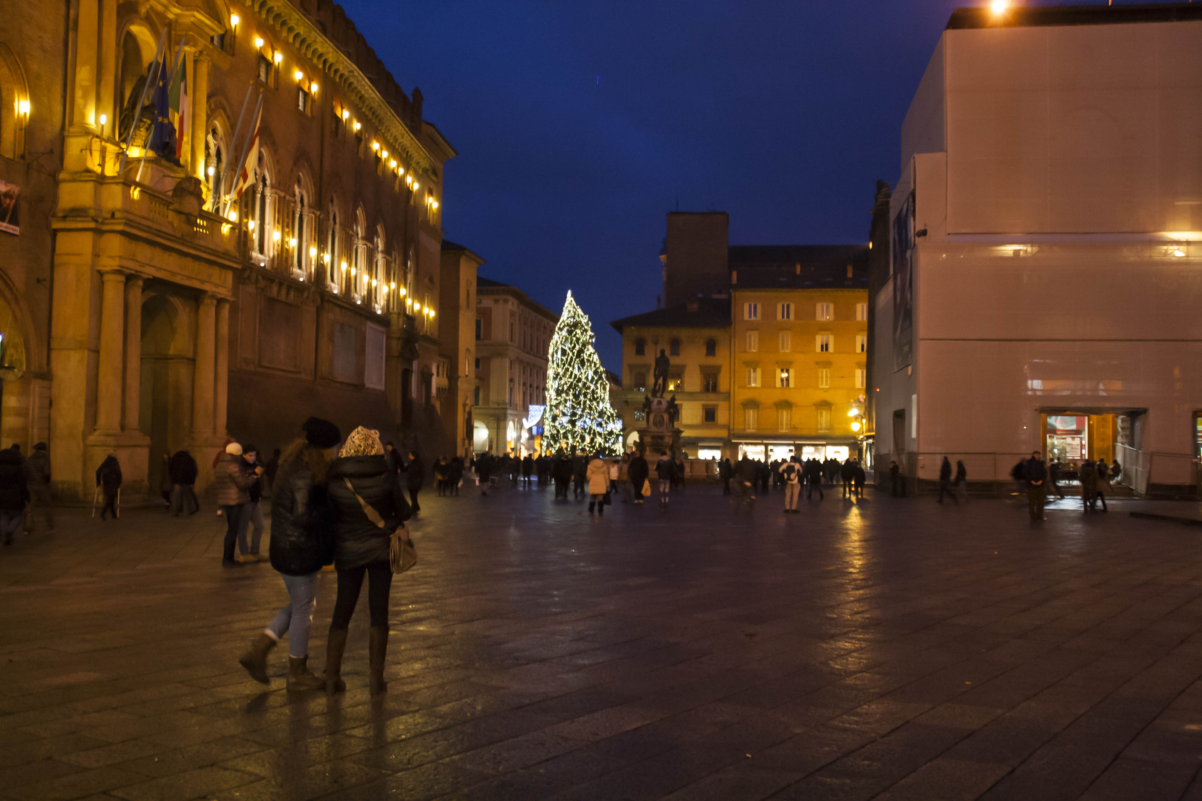 Bologna Piazza Maggiore Edificio Monumento 