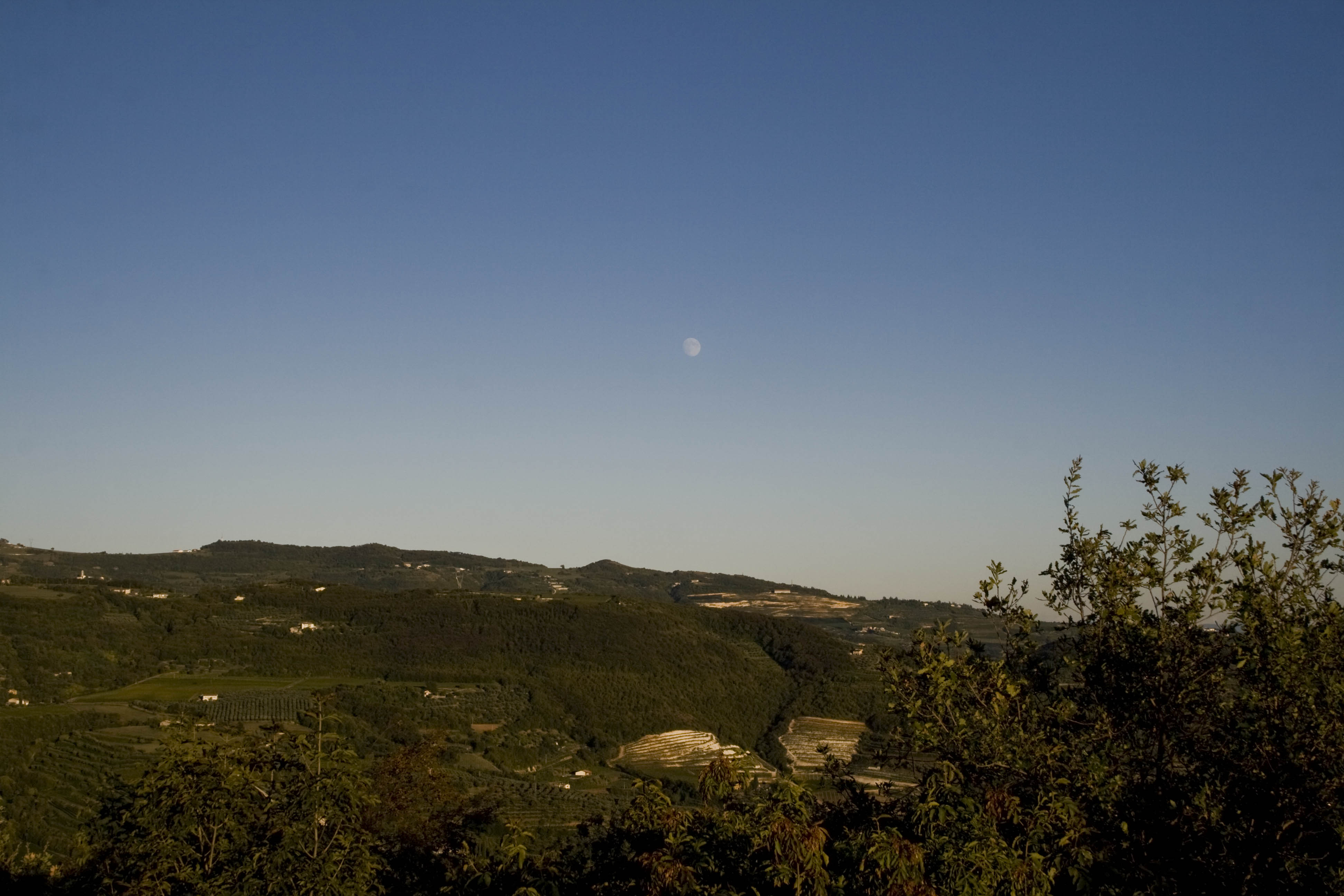 Verona Luna Natura Cielo La luna sulle colline 