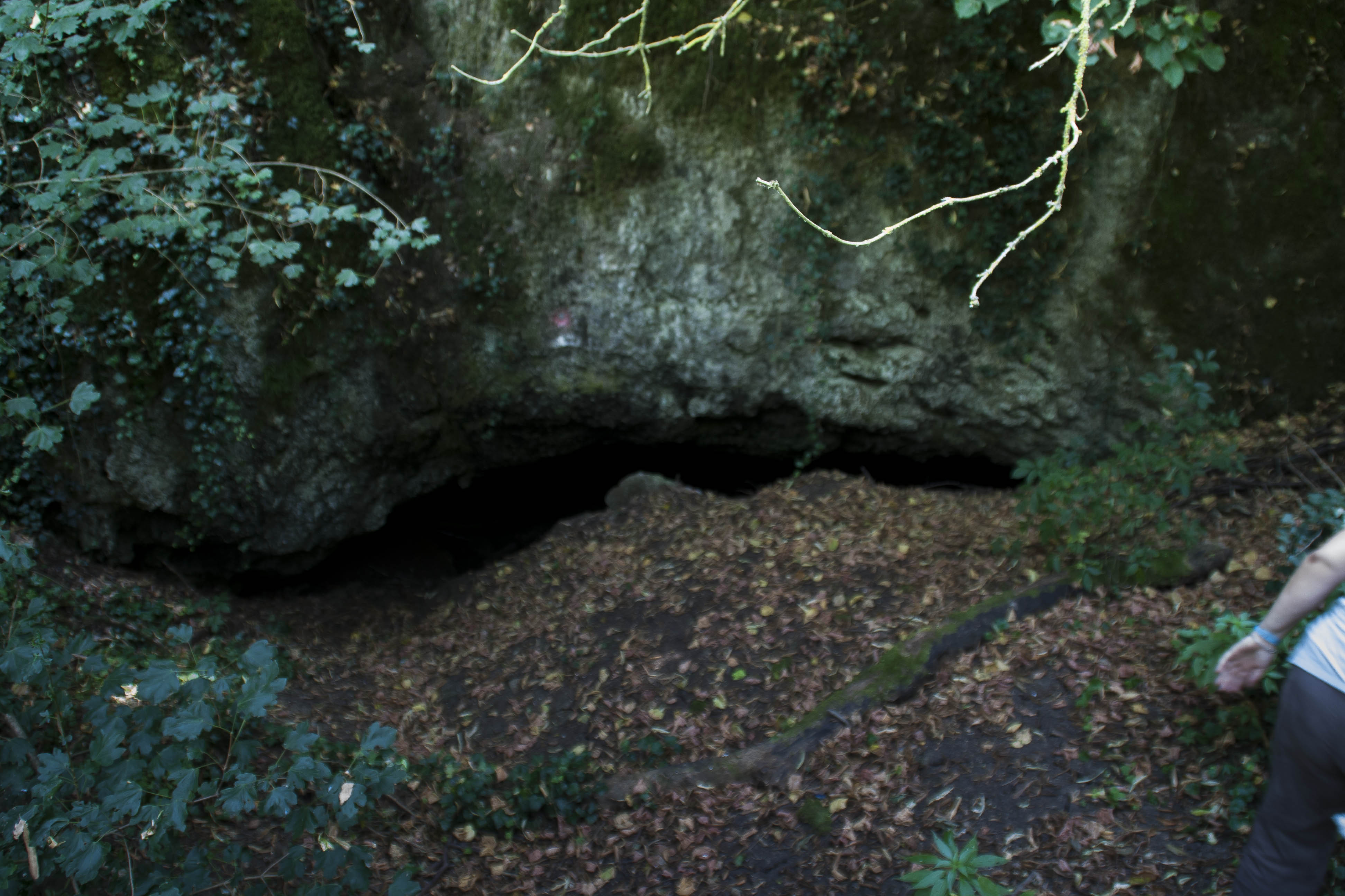 Parco dei Gessi Bolognesi e Calanche dell'Abbadessa (Bo) natura 