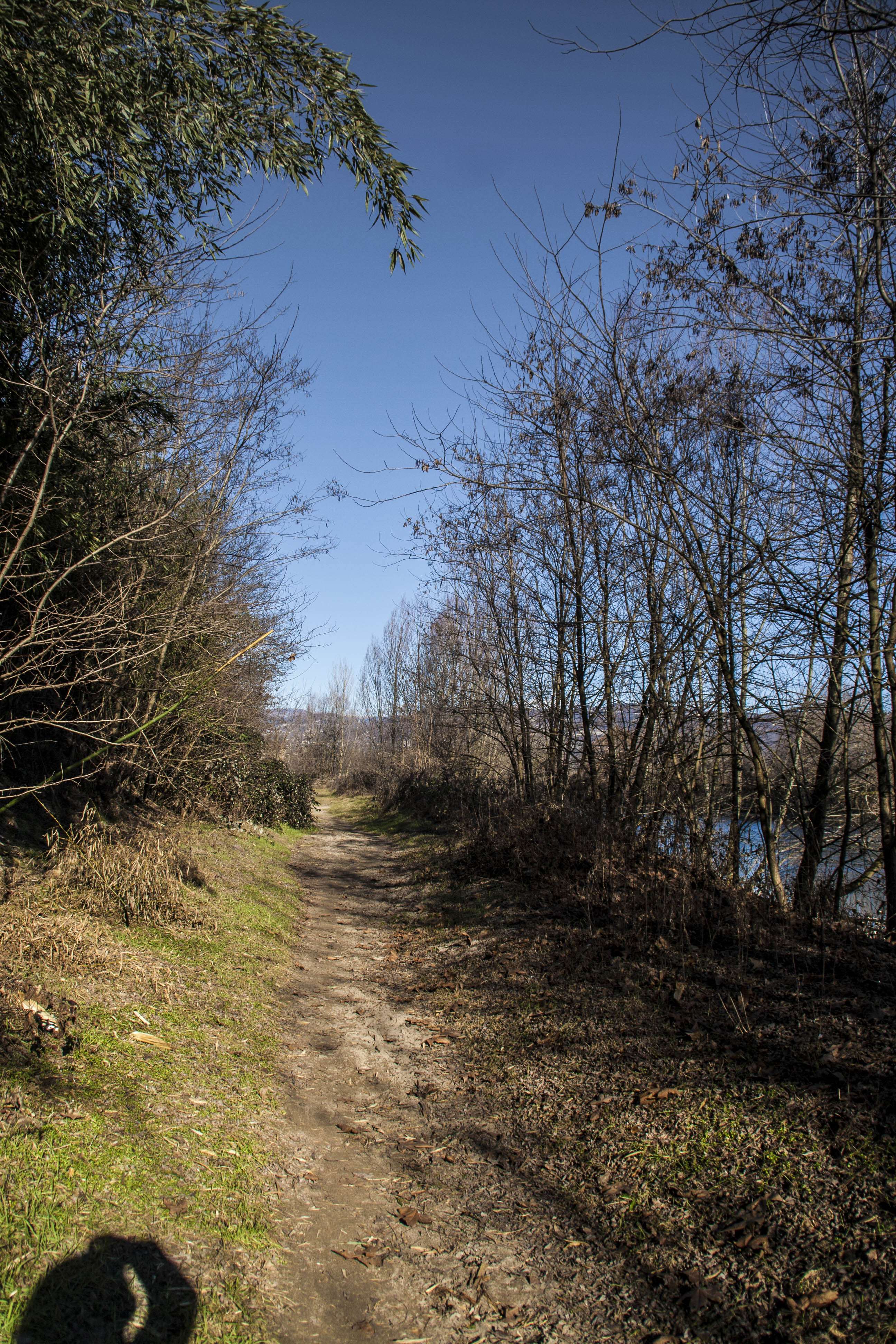 Parona (Vr) Adige Fiume Percorso lungo Adige da Parona a Pescantina