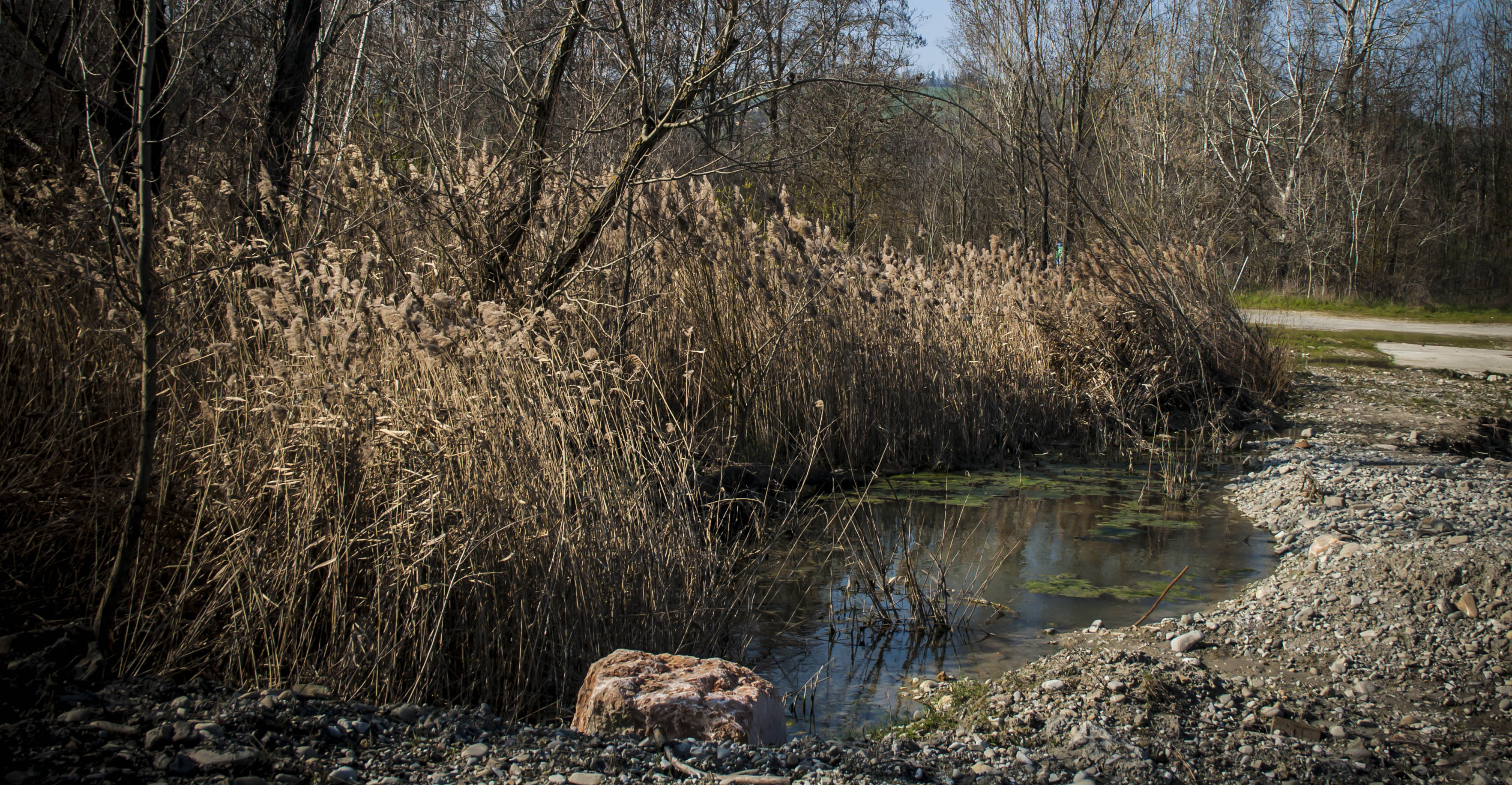 Vignola (Mo) Fiume Panaro Natura  