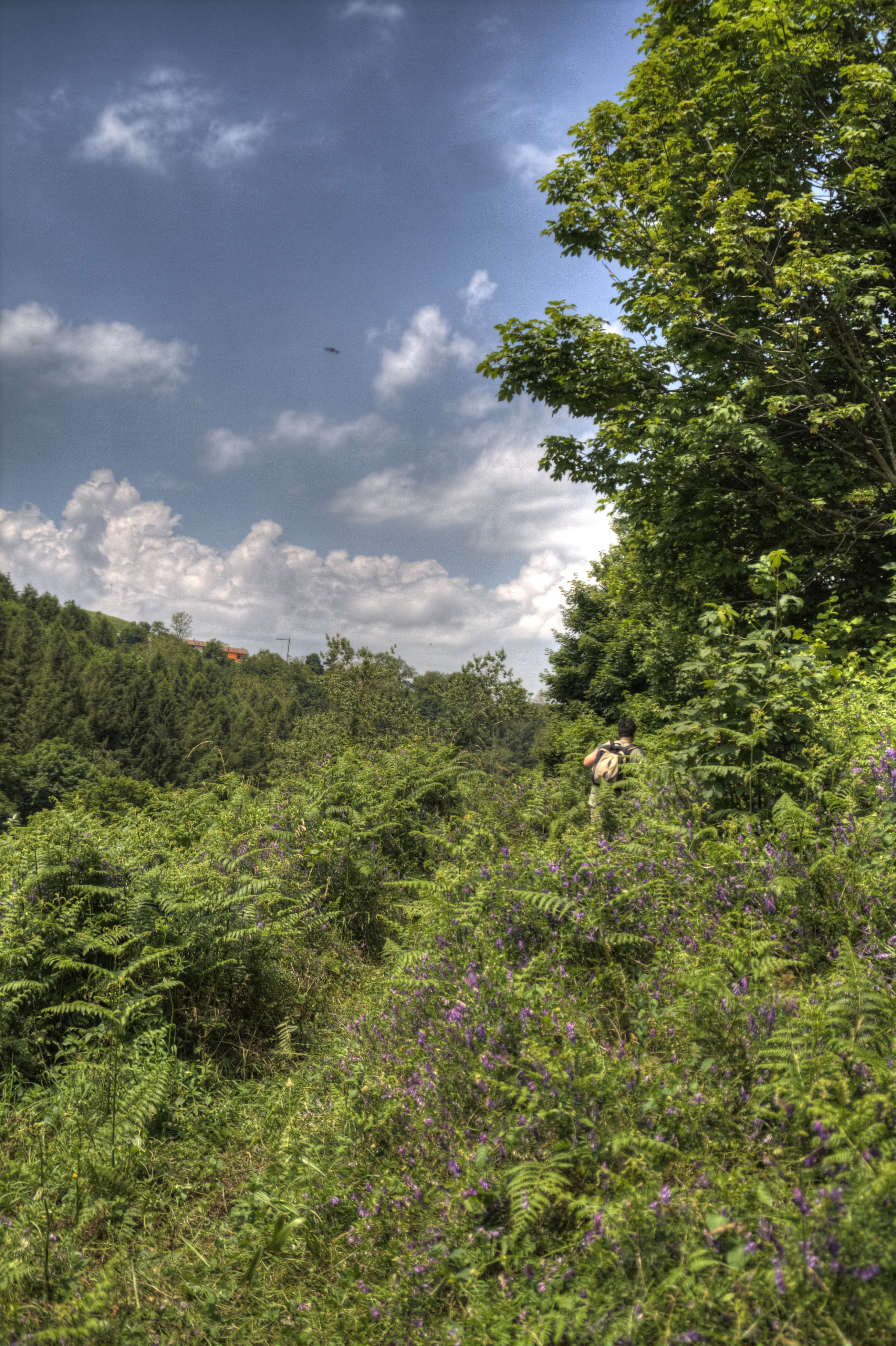 Bolca Natura HDR 