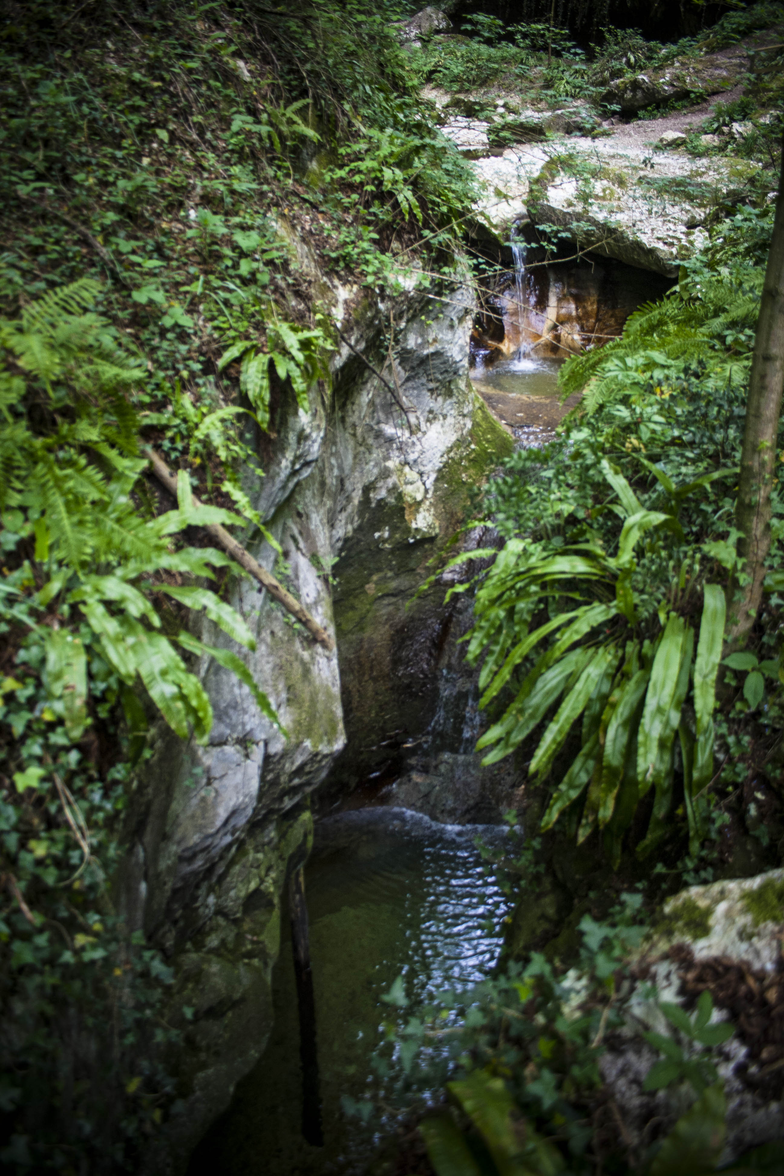 Molina (Vr) Cascate Natura Parco delle Cascate di Moline