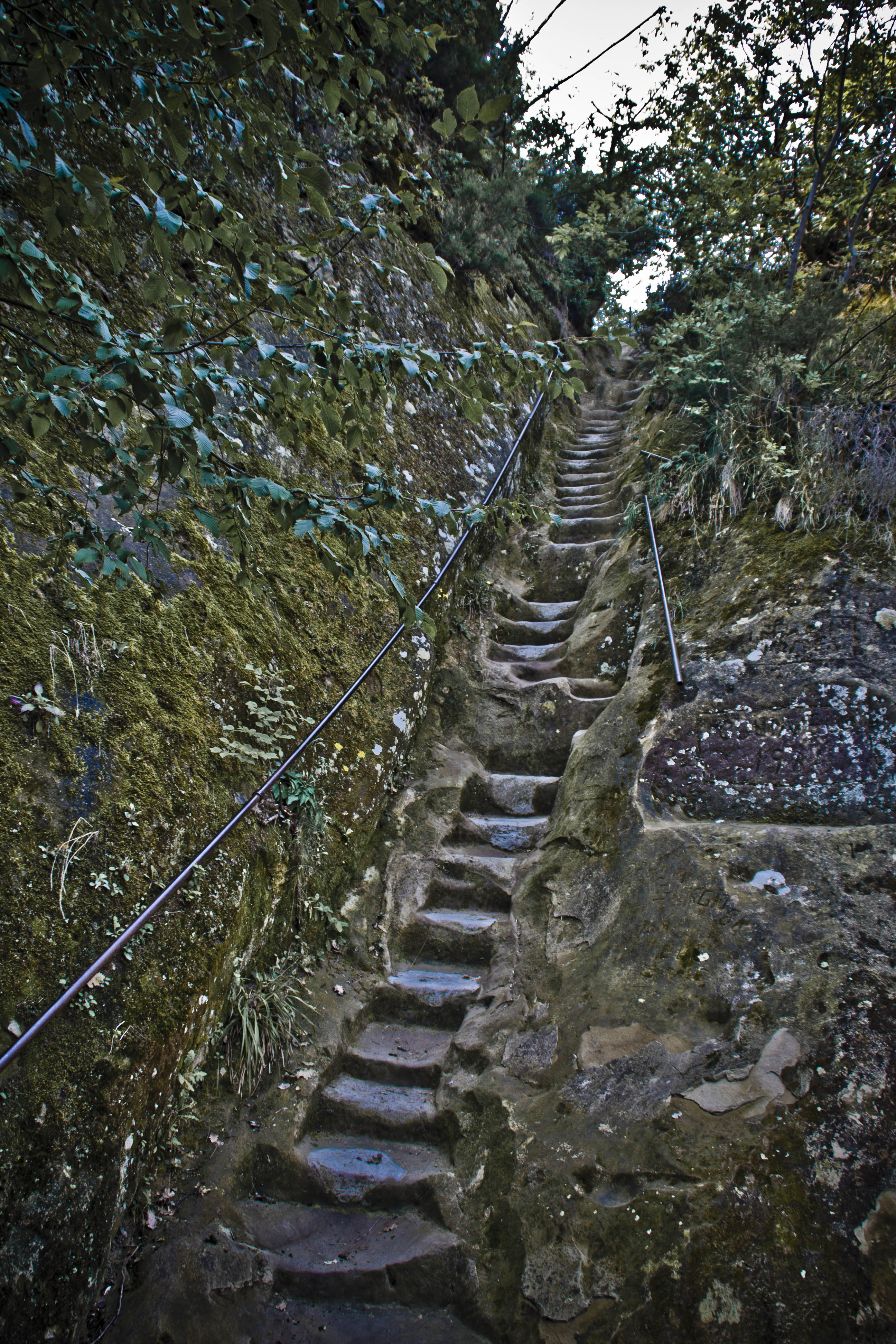 Parco Regionale Sassi di Roccamalatina (Mo) Natura Montagne 