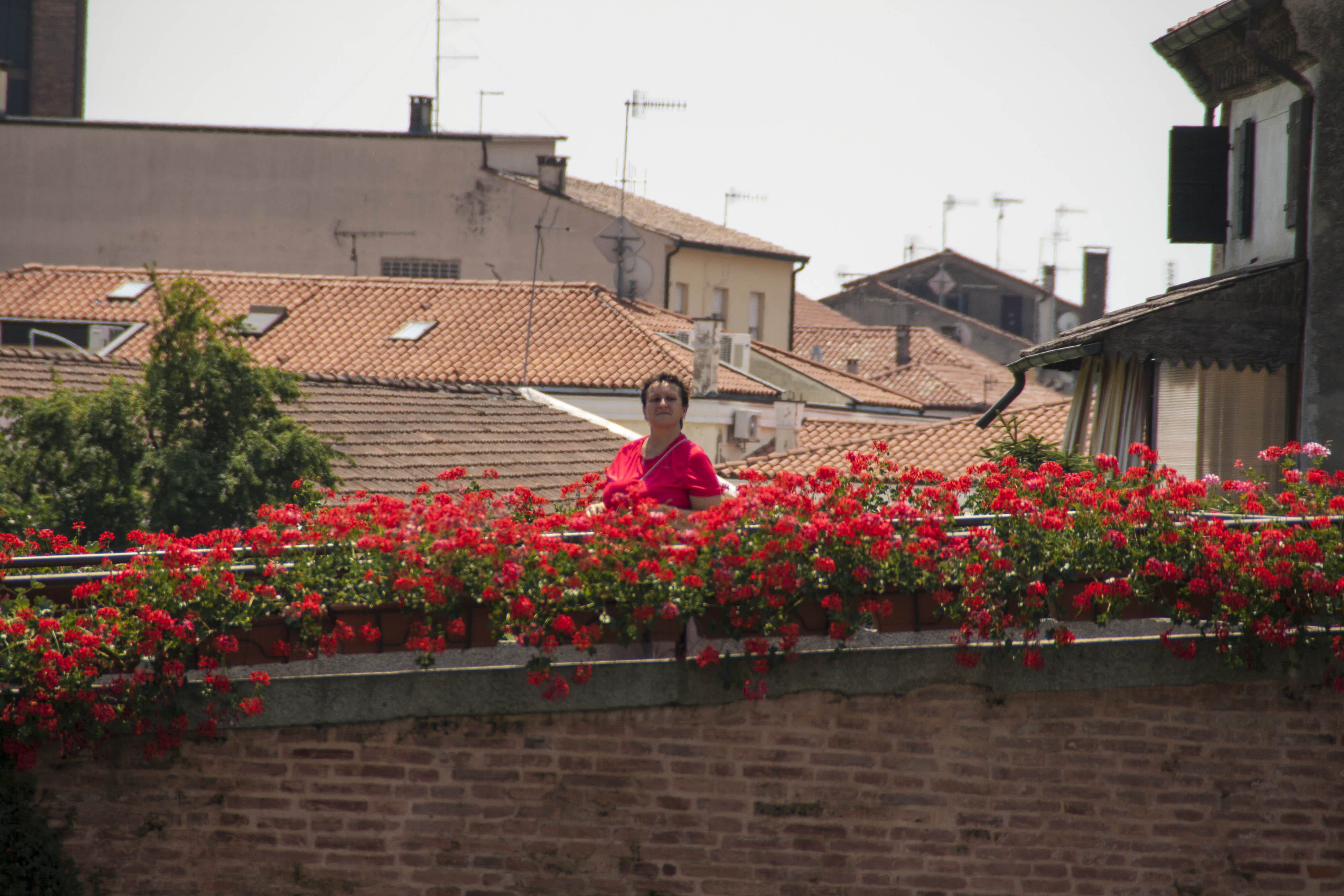 Monselice monumenti edifici fiori 