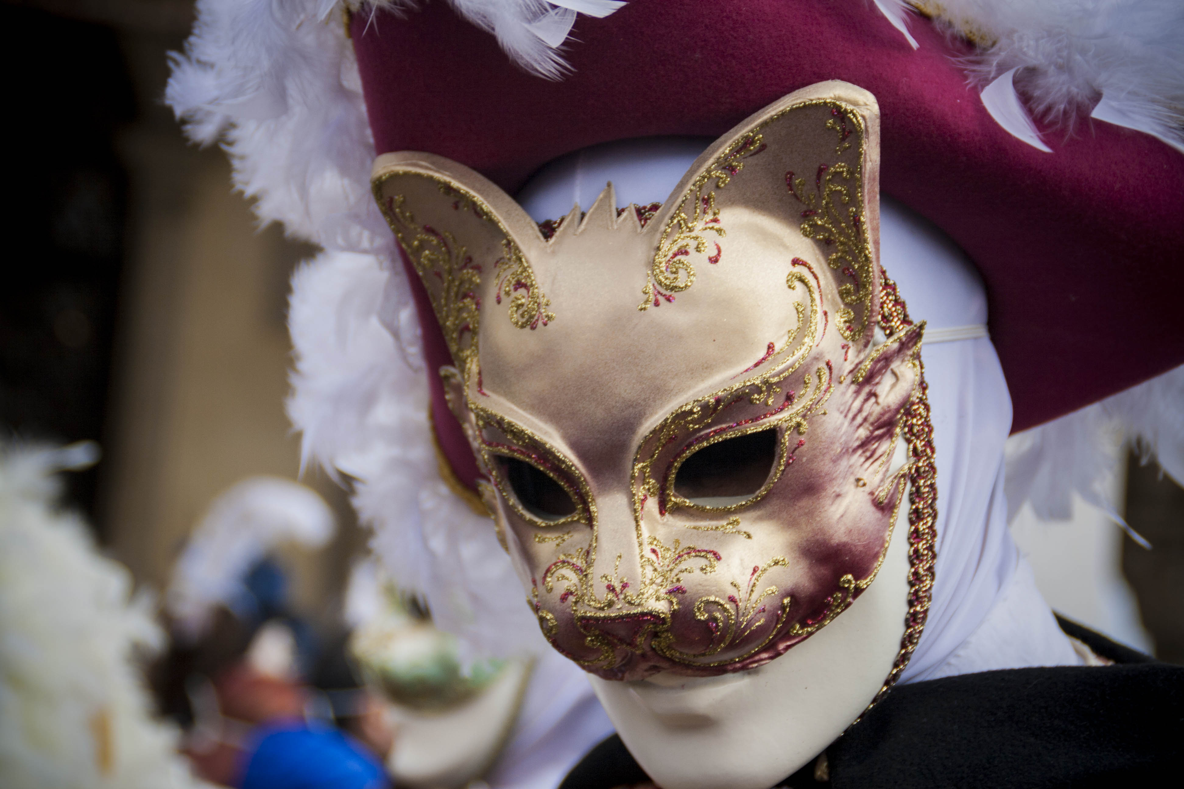 Venezia Carnevale Maschera carnevale di Venezia 2016