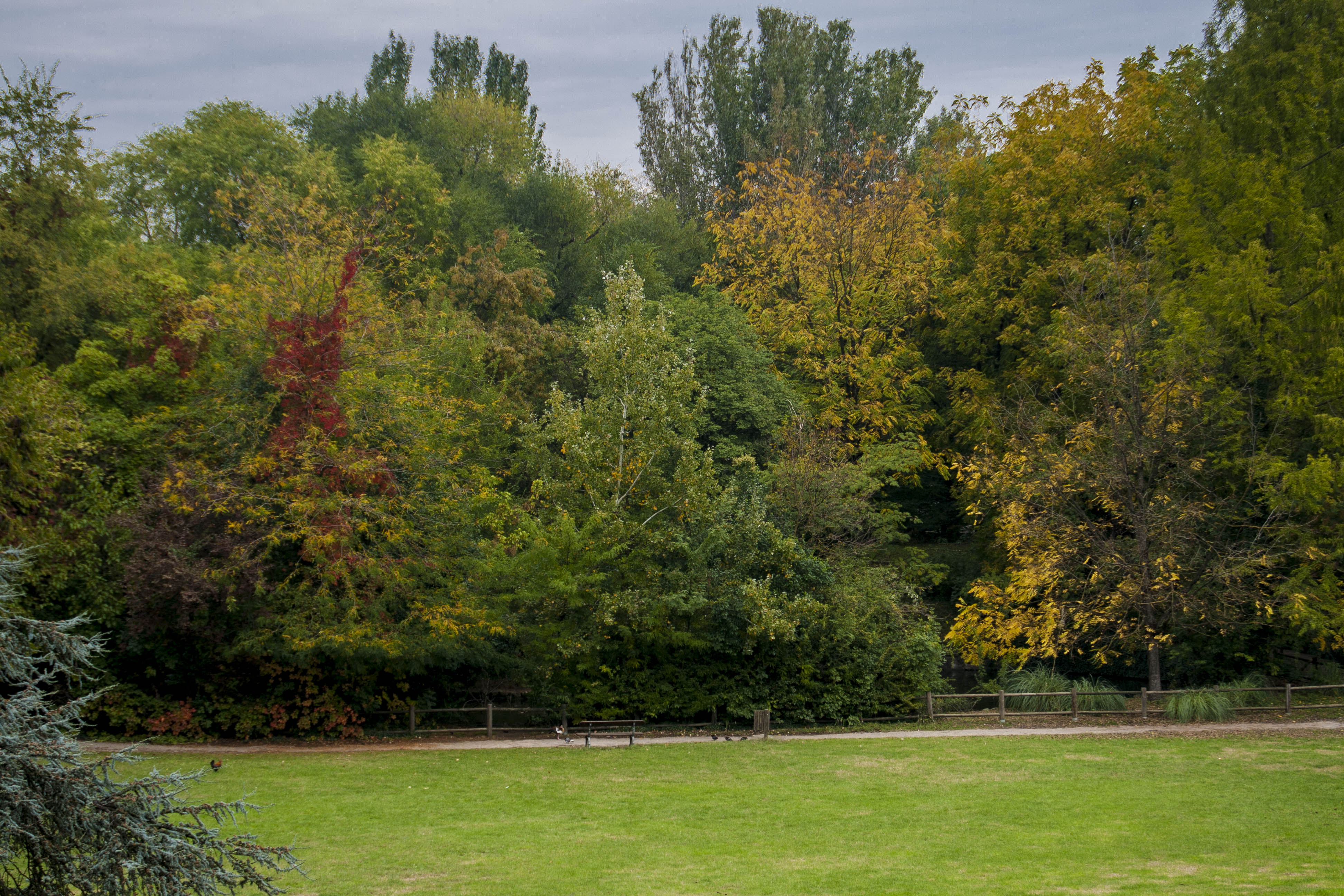 Faenza Autunno Cielo  Parco Bucci