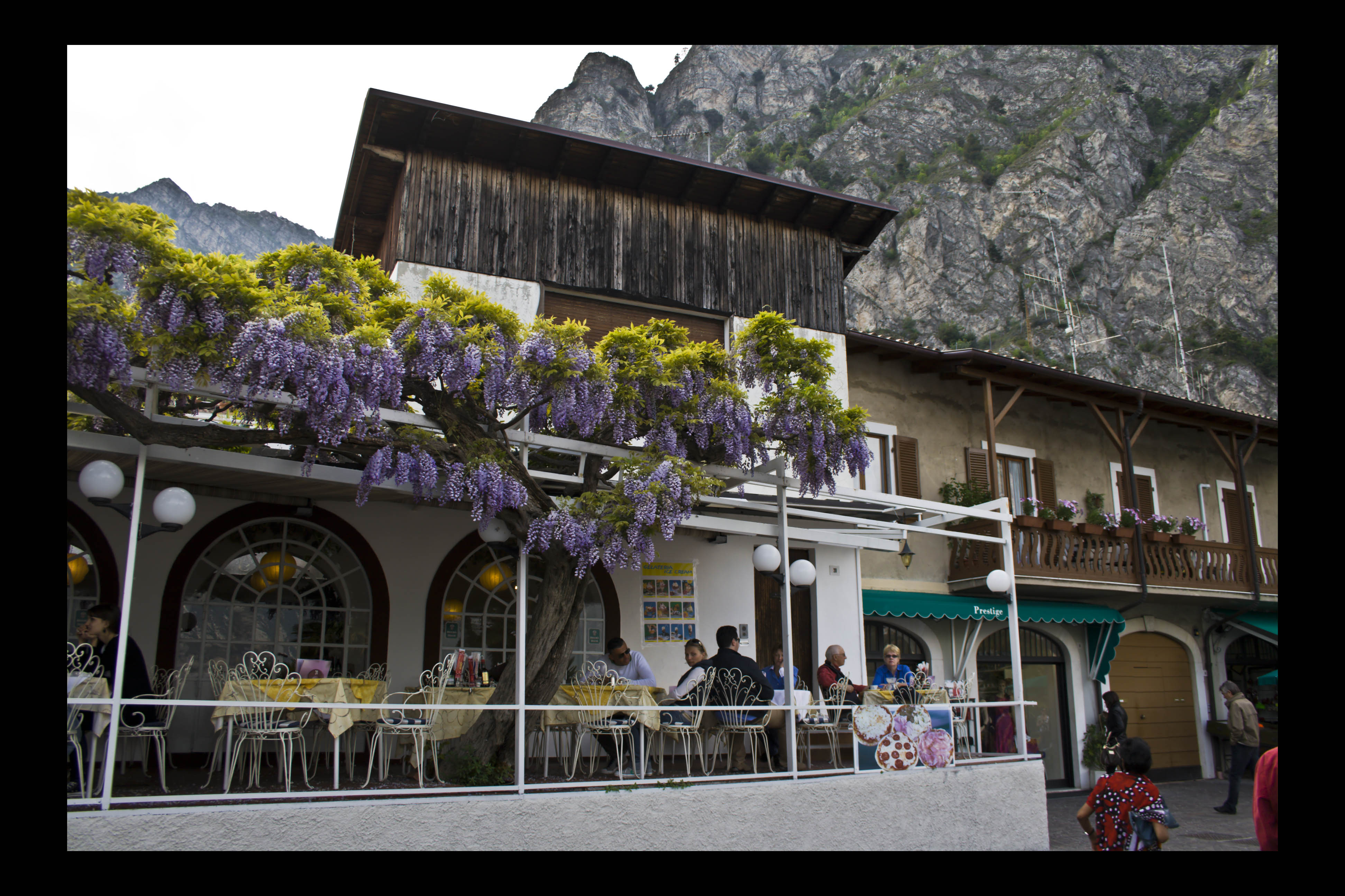 Limone (Bs) Fiori Lago di Garda 