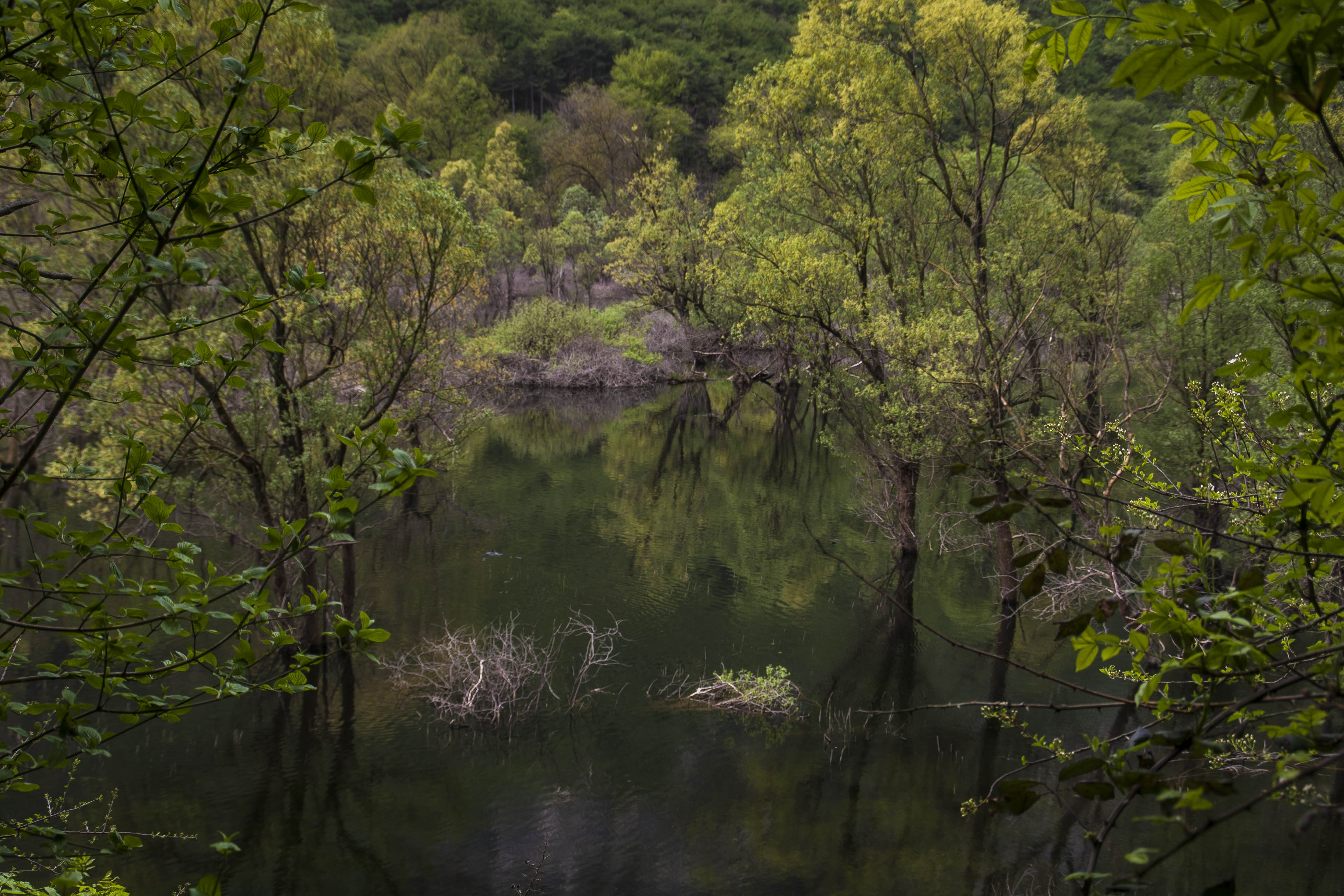 Nago (Tn) Lago di Loppio Natura 