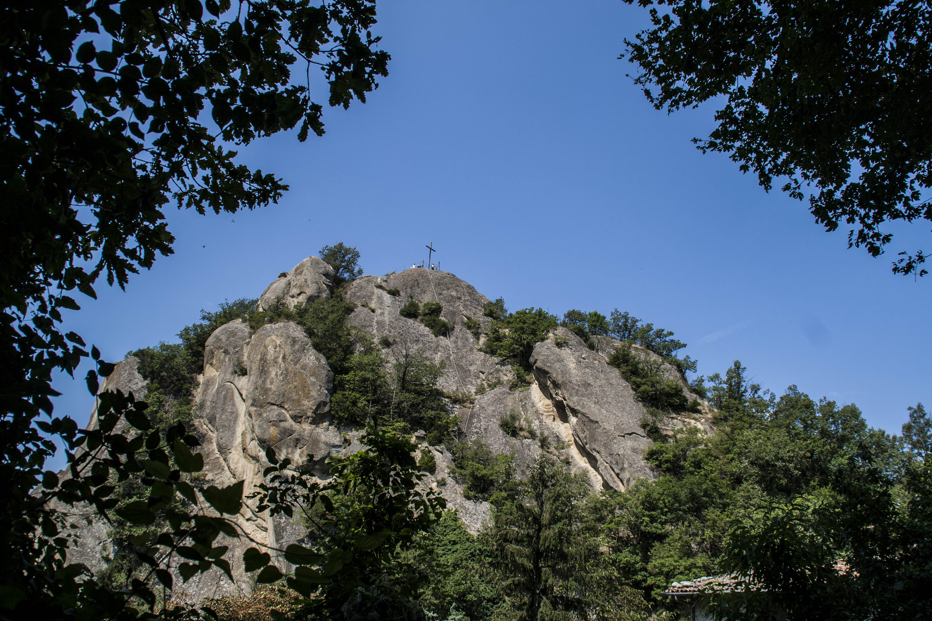 Parco Regionale Sassi di Roccamalatina (Mo) Natura Uccelli 