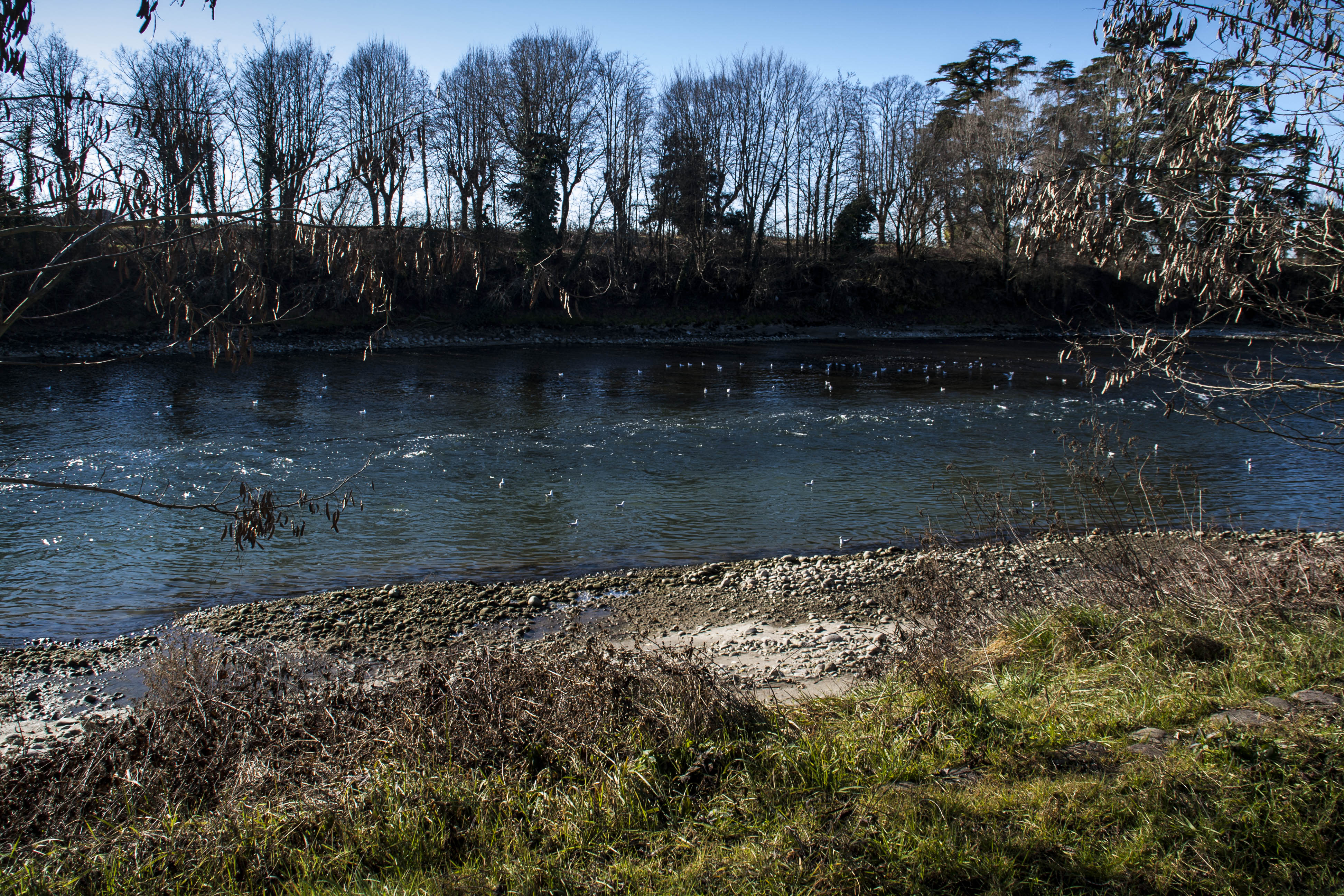 Parona (Vr) Adige Fiume Percorso lungo Adige da Parona a Pescantina