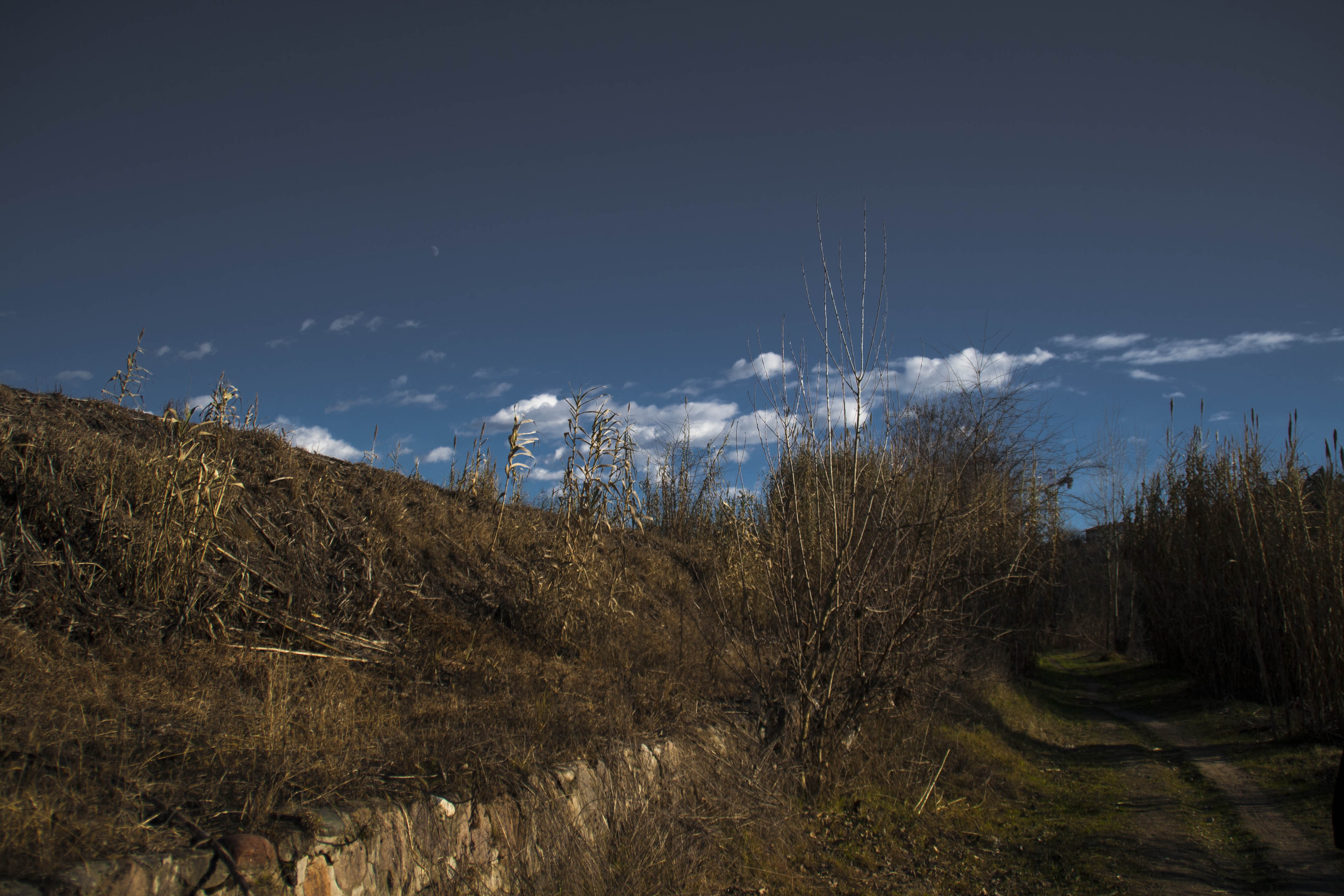 Settimo (Vr) natura Cielo Nuvole Percorso lungo Adige da Parona a Pescantina