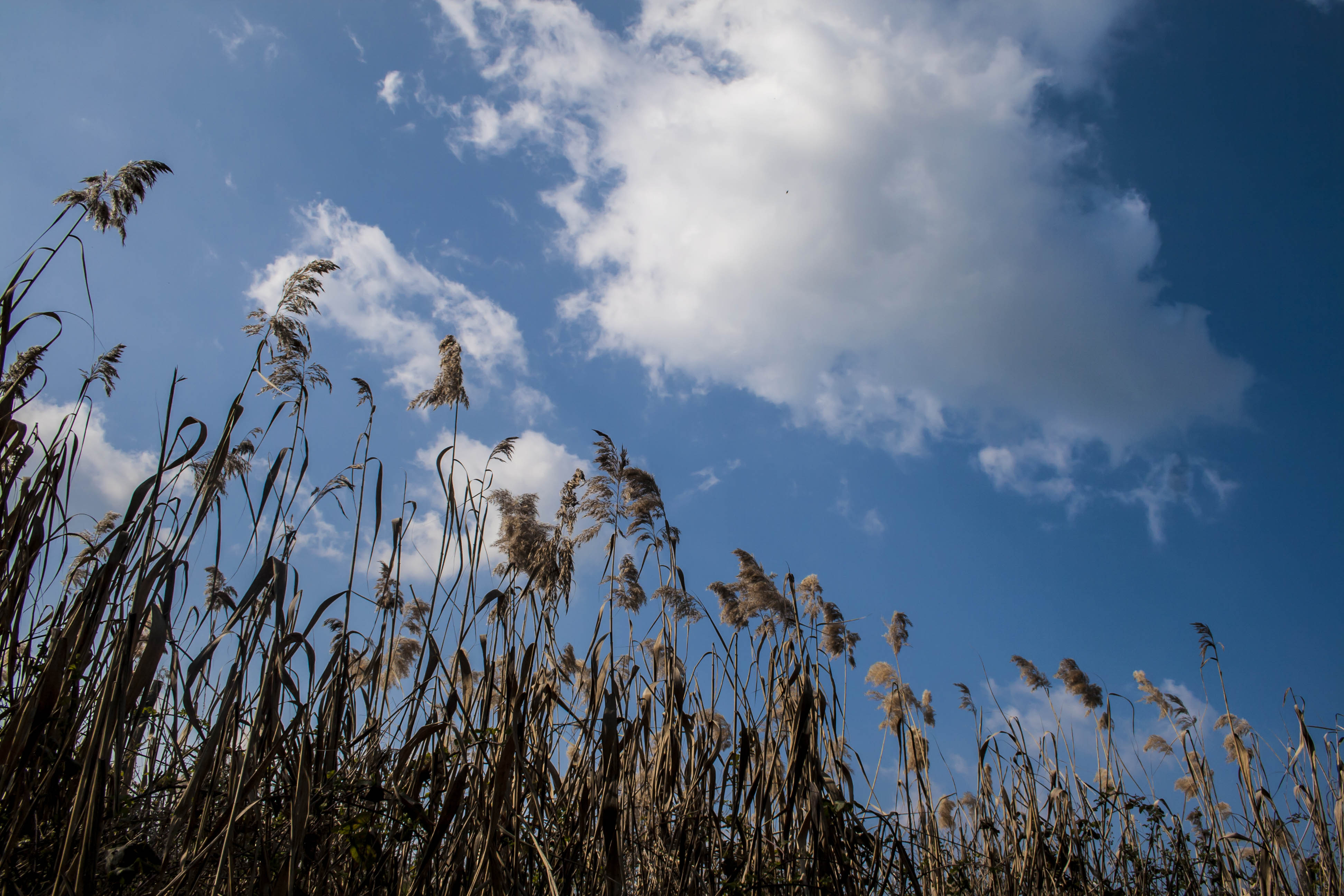 Vignola (Mo) Cielo Natura Nuvole 