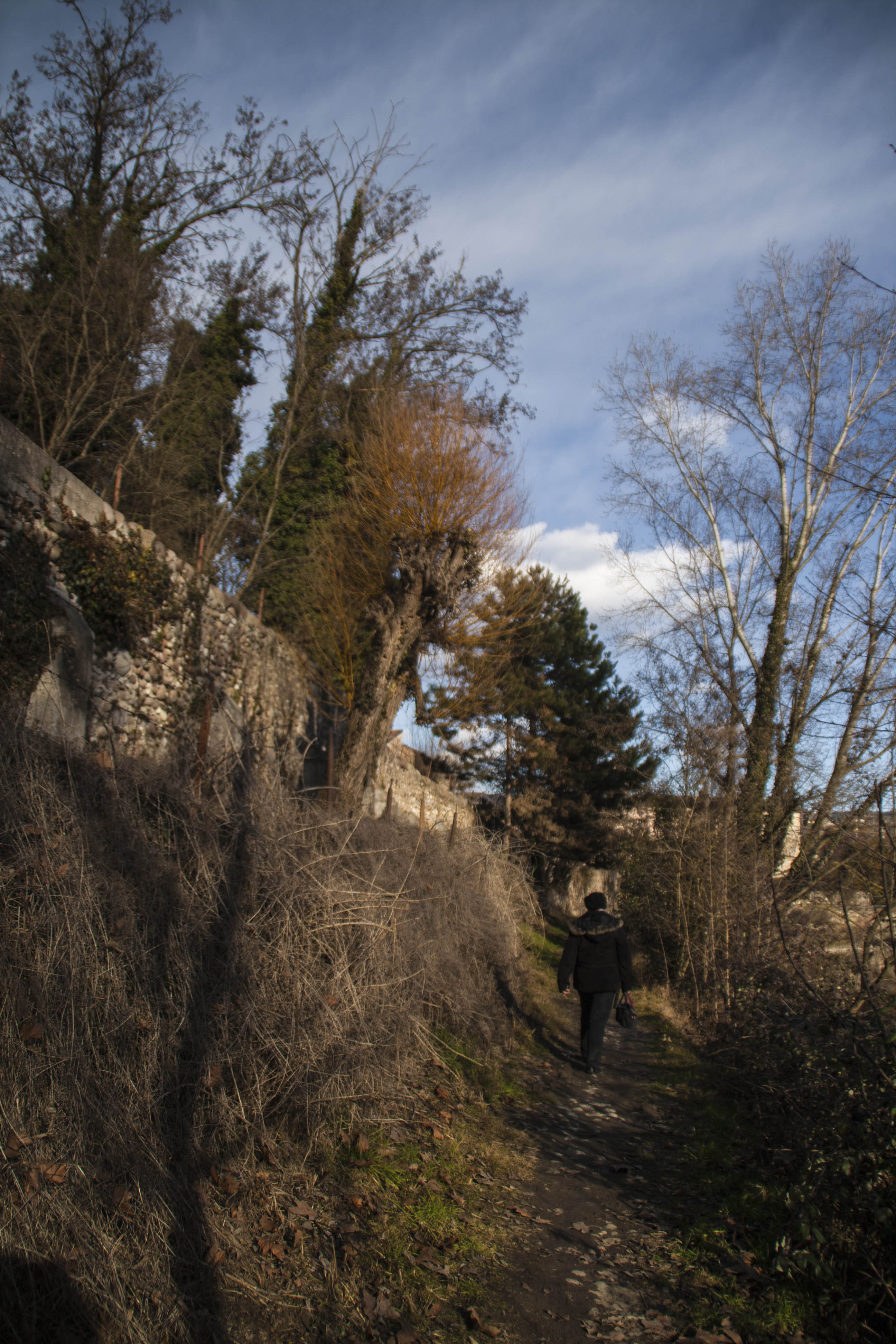 Parona (Vr) Adige Fiume Percorso lungo Adige da Parona a Pescantina